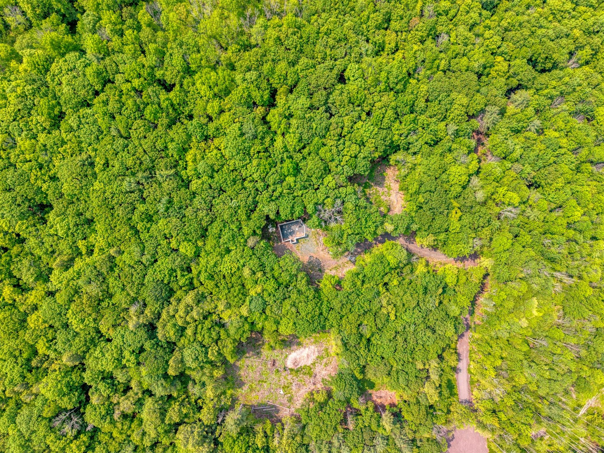 TBD Boulder Brook lot B14 Road, Windham, NY 12496