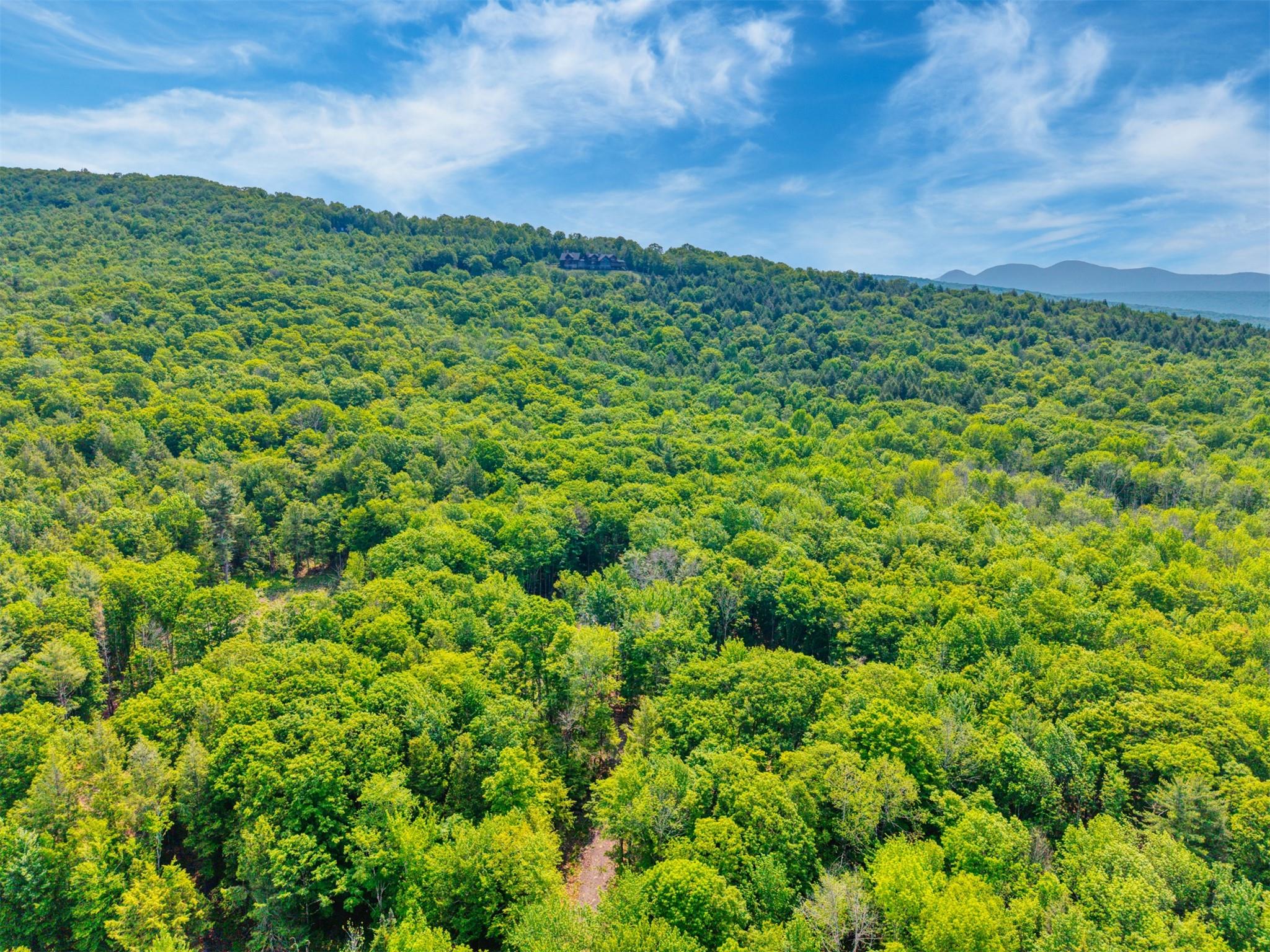 TBD Boulder Brook lot B14 Road, Windham, NY 12496
