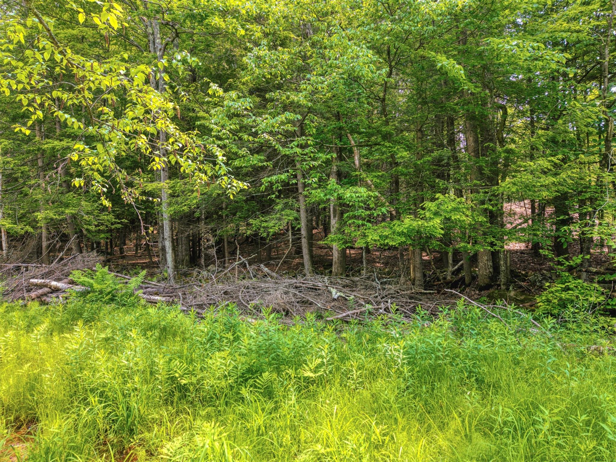 TBD Boulder Brook lot B14 Road, Windham, NY 12496