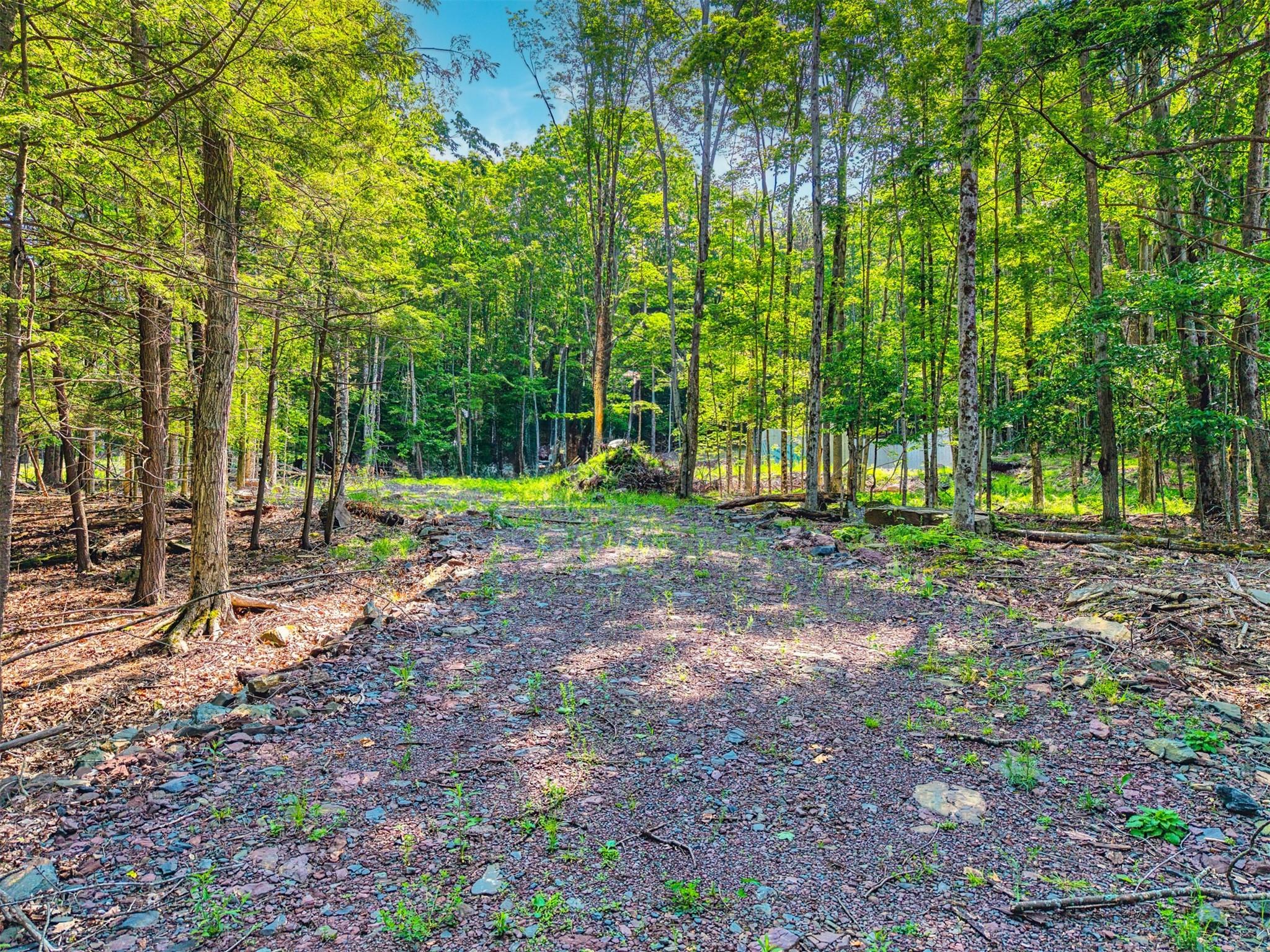 TBD Boulder Brook lot B14 Road, Windham, NY 12496