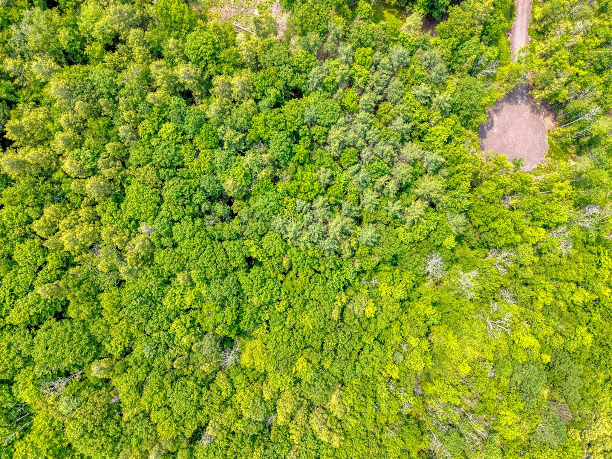 TBD Boulder Brook lot B14 Road, Windham, NY 12496
