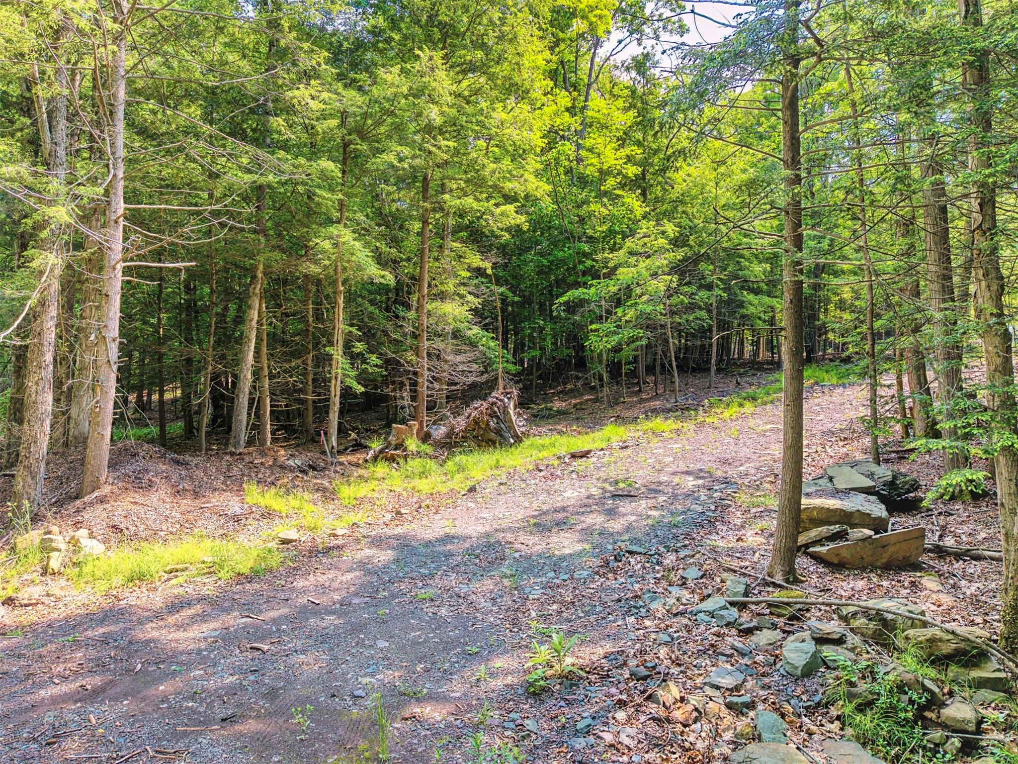 TBD Boulder Brook lot B14 Road, Windham, NY 12496