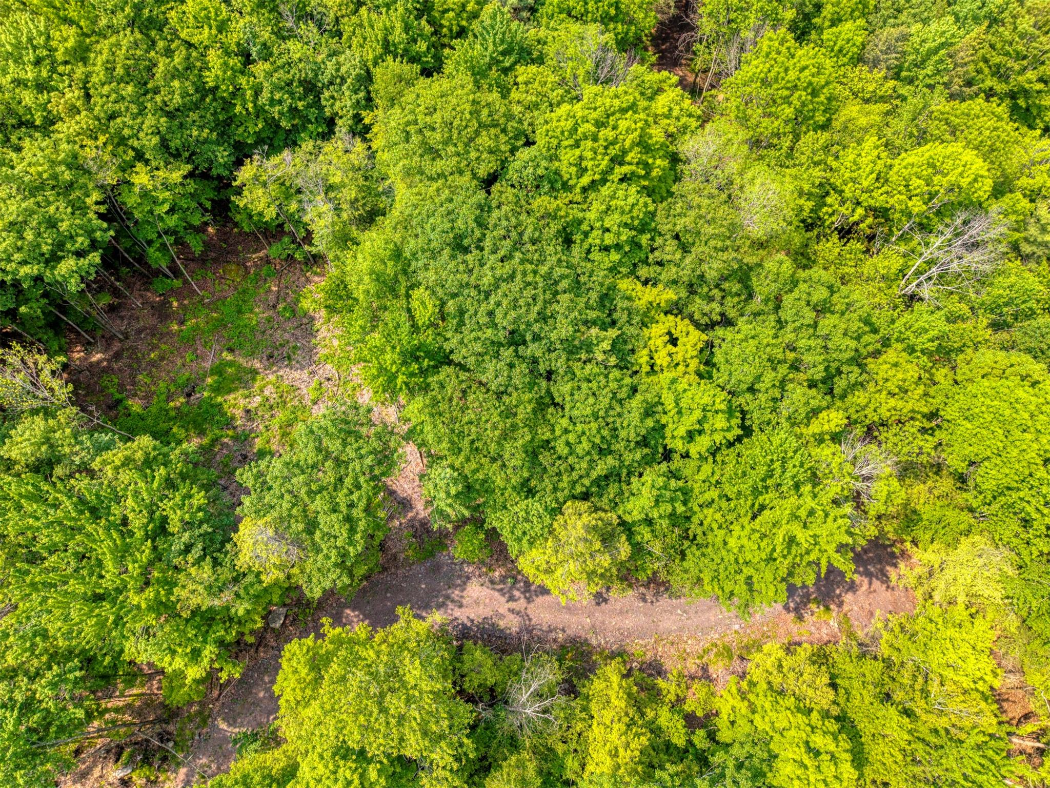 TBD Boulder Brook lot B14 Road, Windham, NY 12496