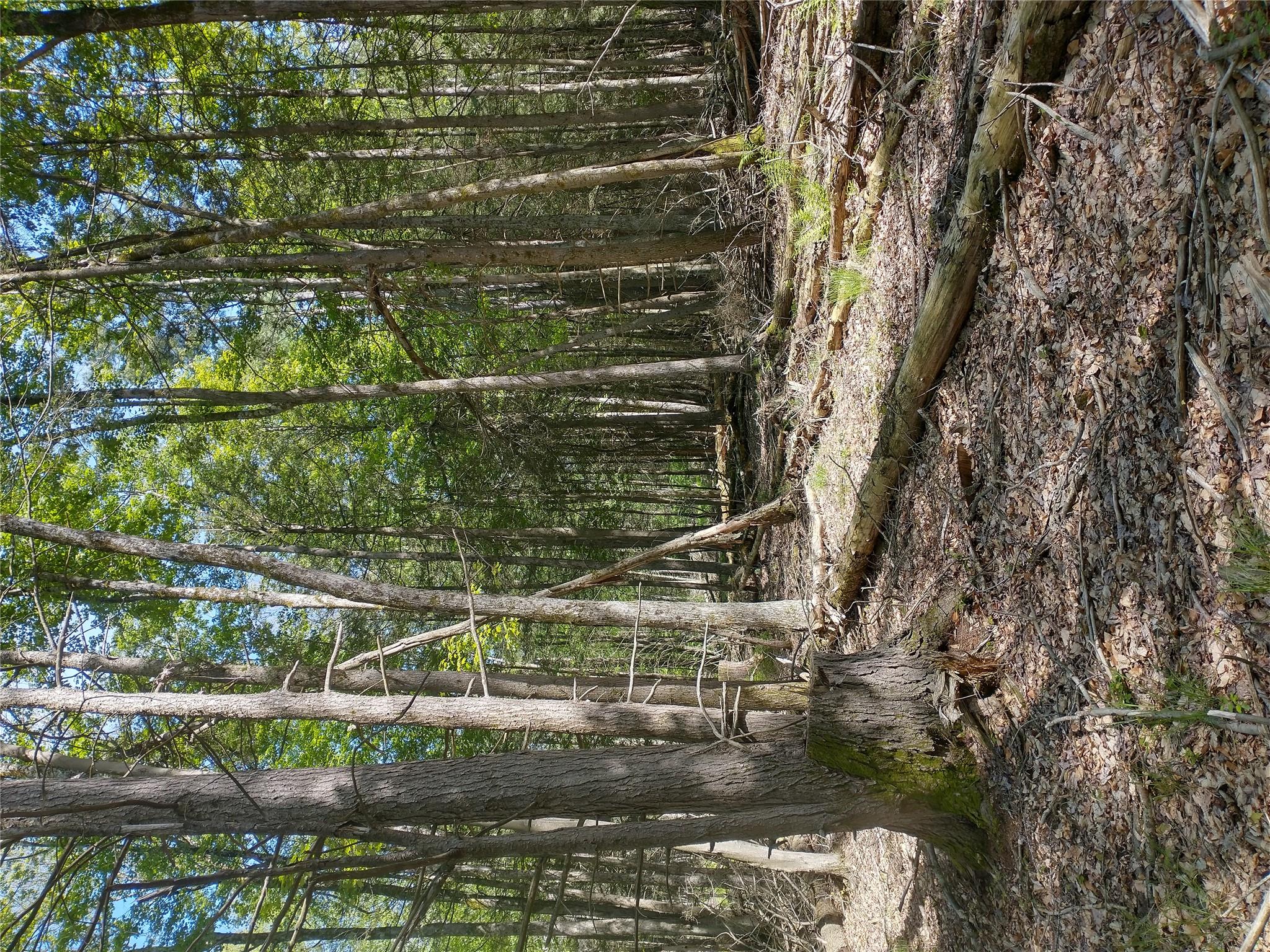 650 Thunder Hill Road, Neversink, NY 12788