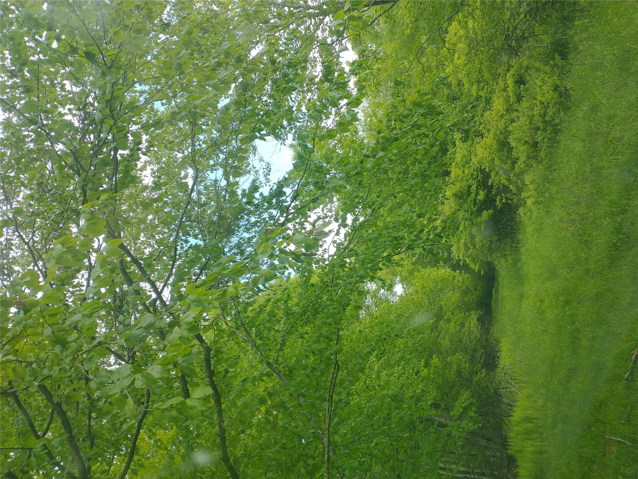 650 Thunder Hill Road, Neversink, NY 12788