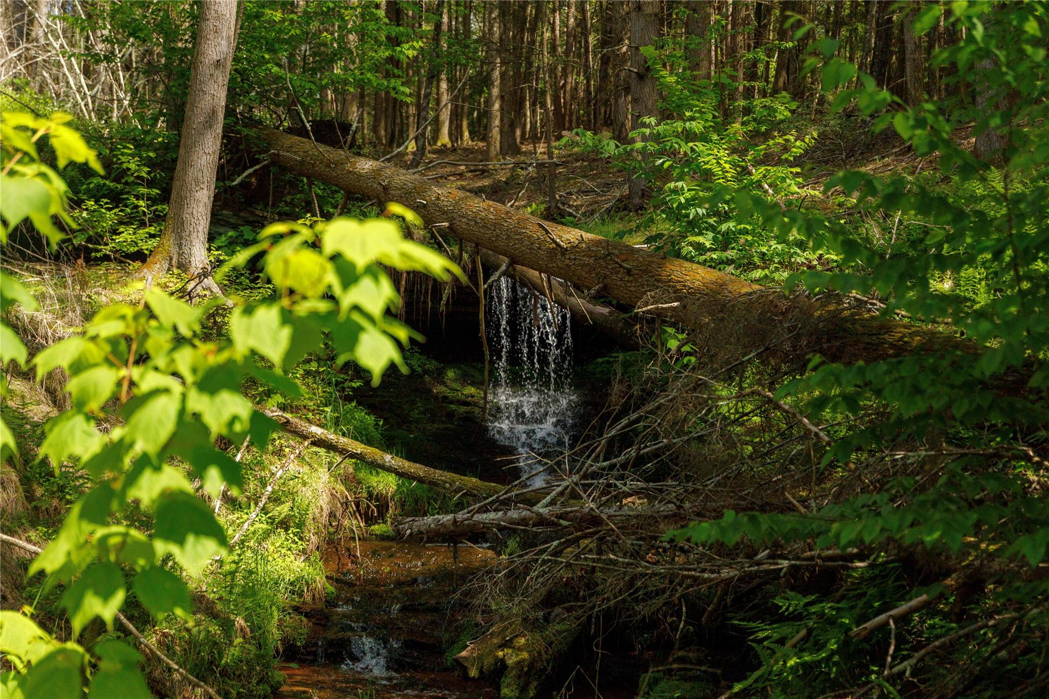 650 Thunder Hill Road, Neversink, NY 12788