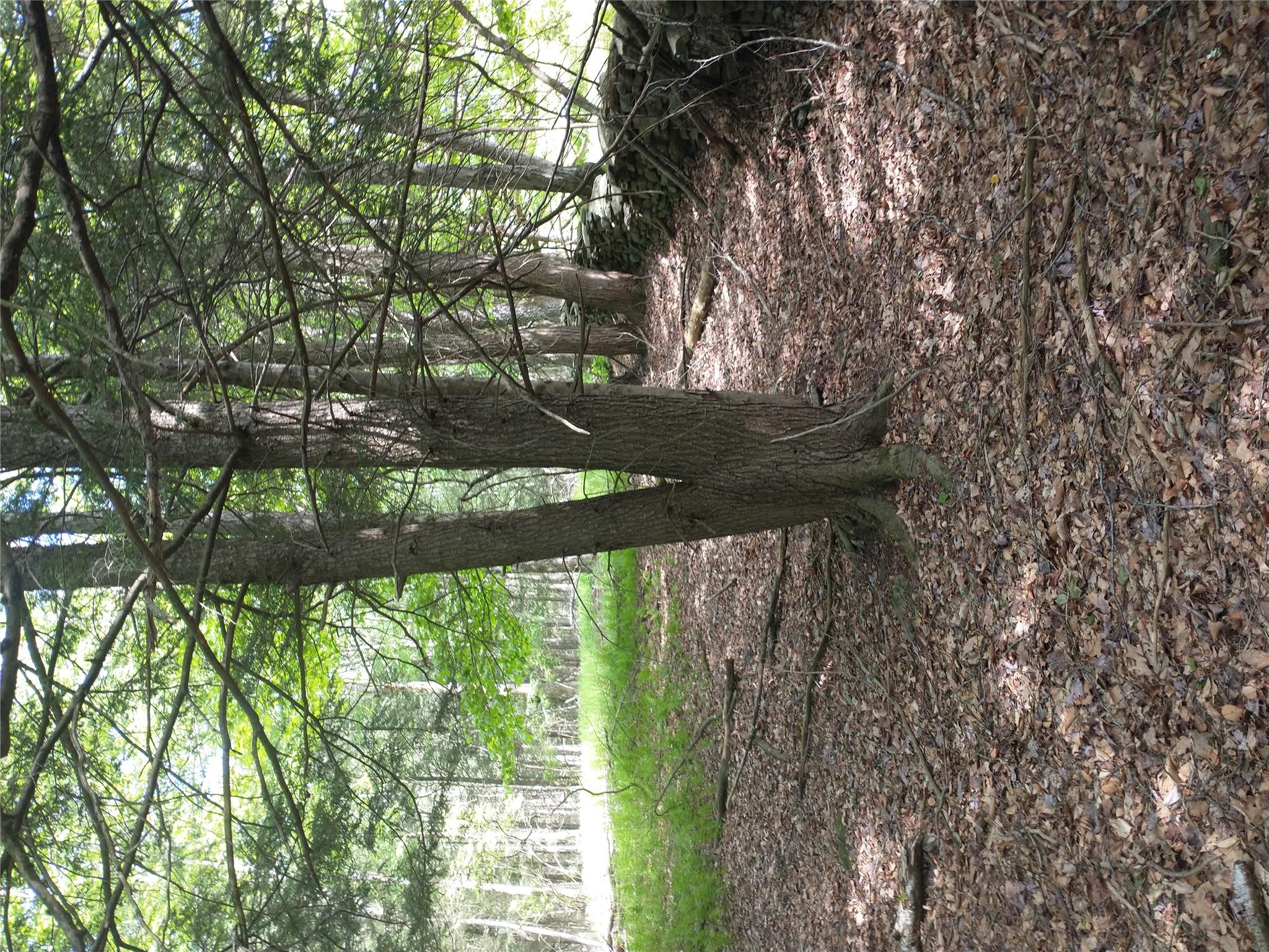 650 Thunder Hill Road, Neversink, NY 12788