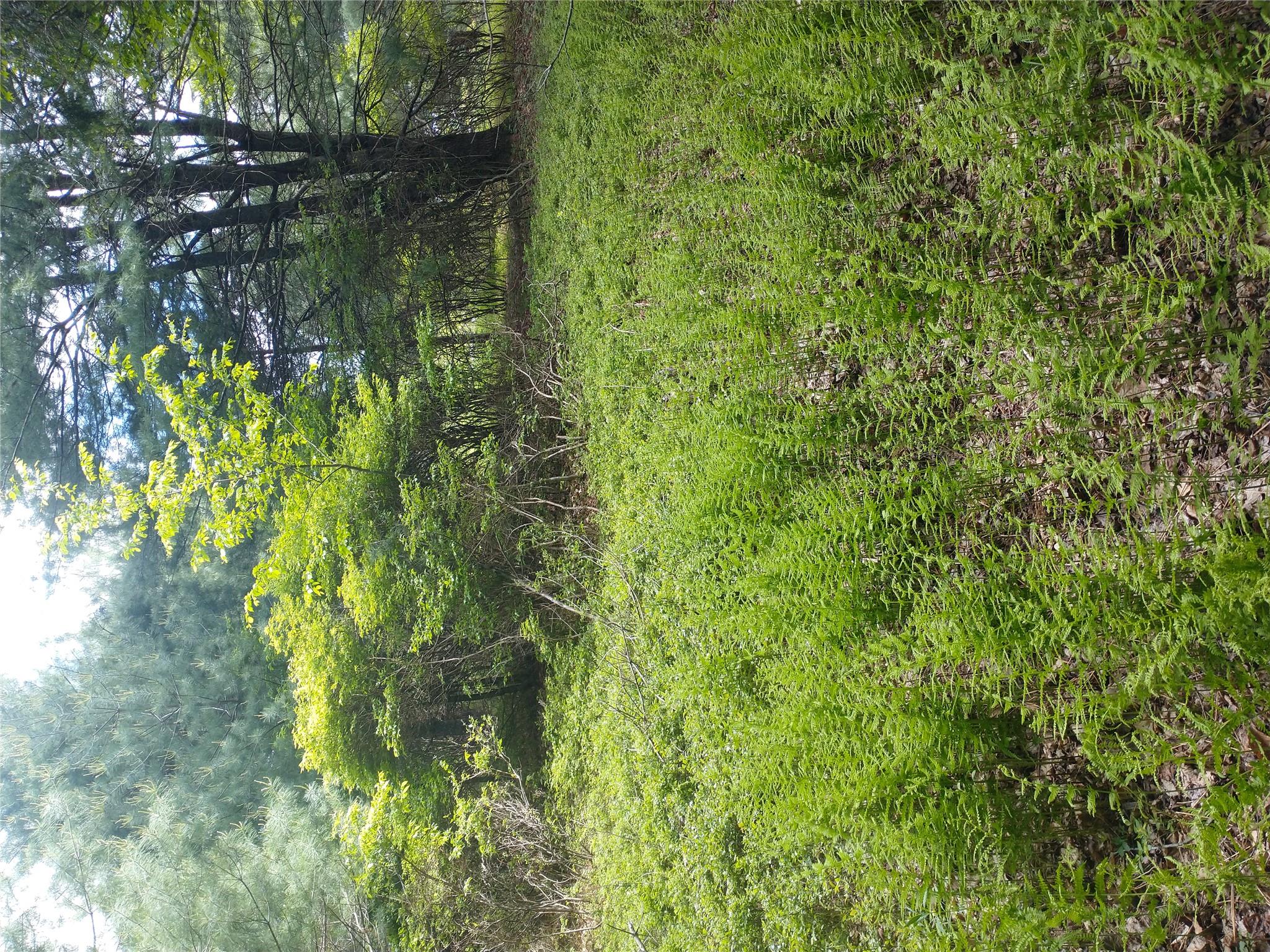 650 Thunder Hill Road, Neversink, NY 12788