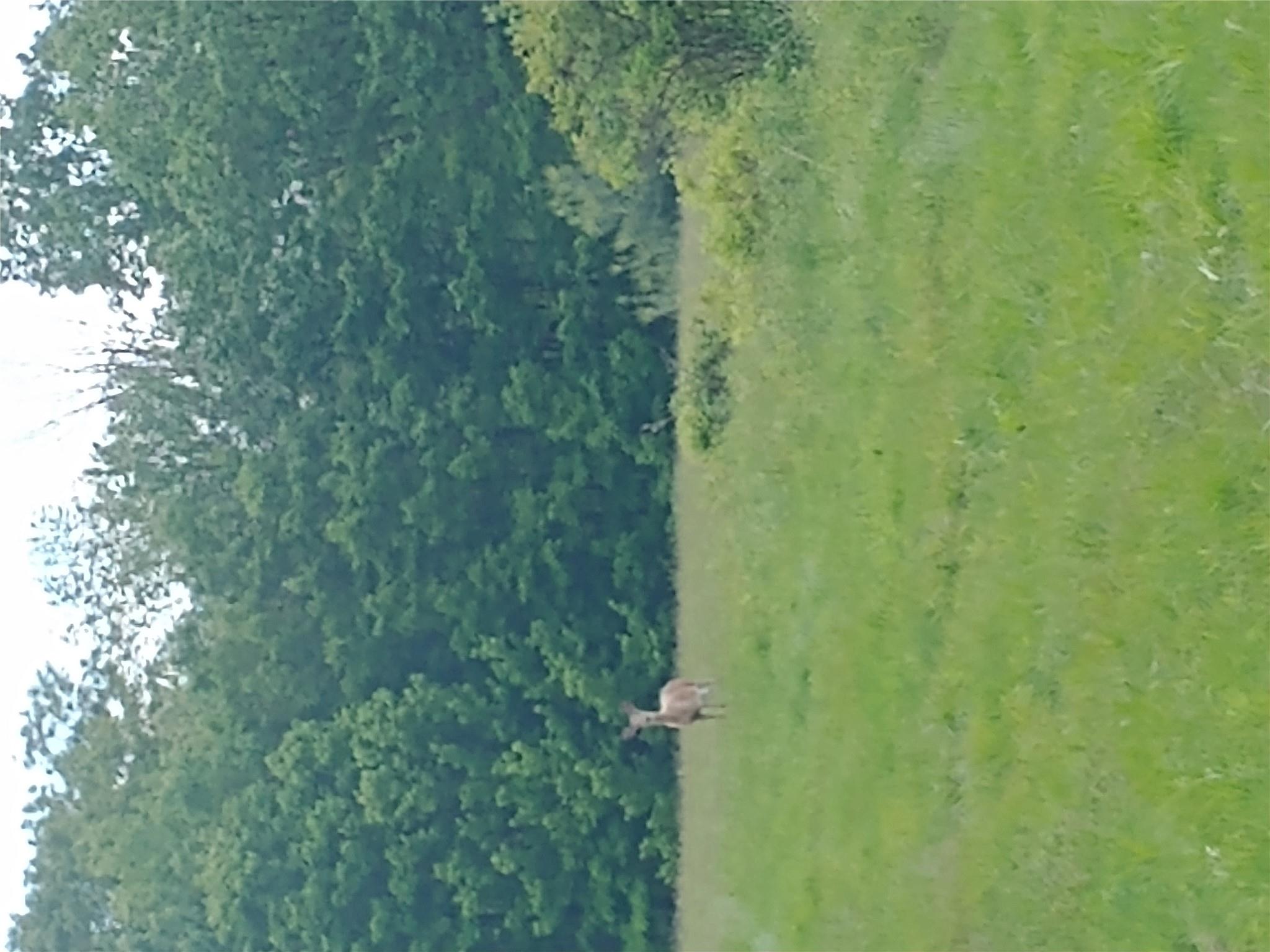 650 Thunder Hill Road, Neversink, NY 12788