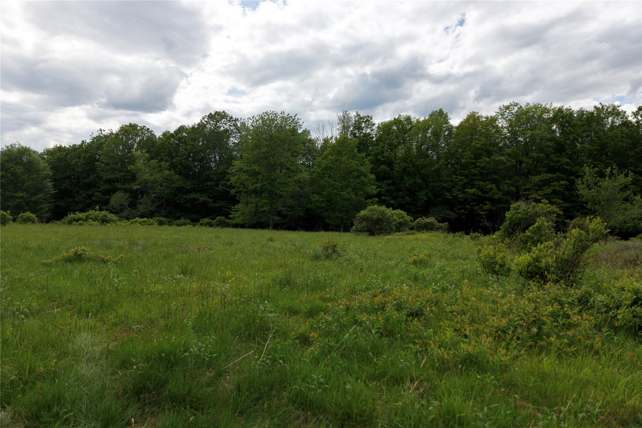 650 Thunder Hill Road, Neversink, NY 12788