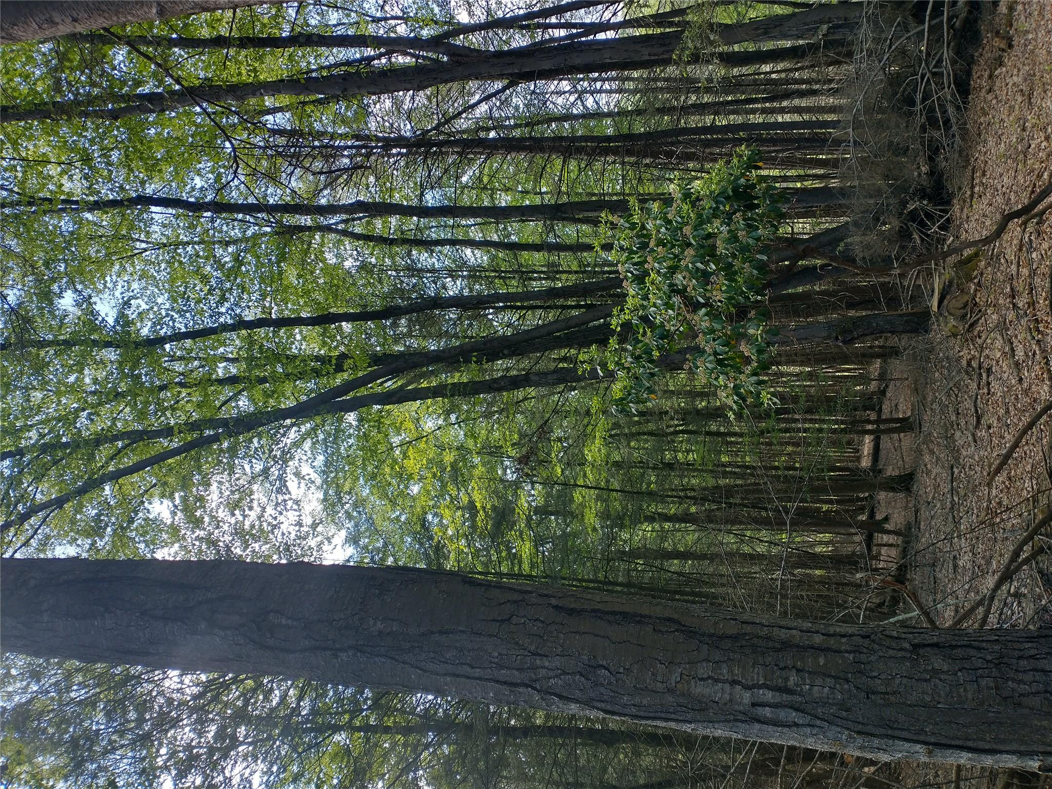 650 Thunder Hill Road, Neversink, NY 12788