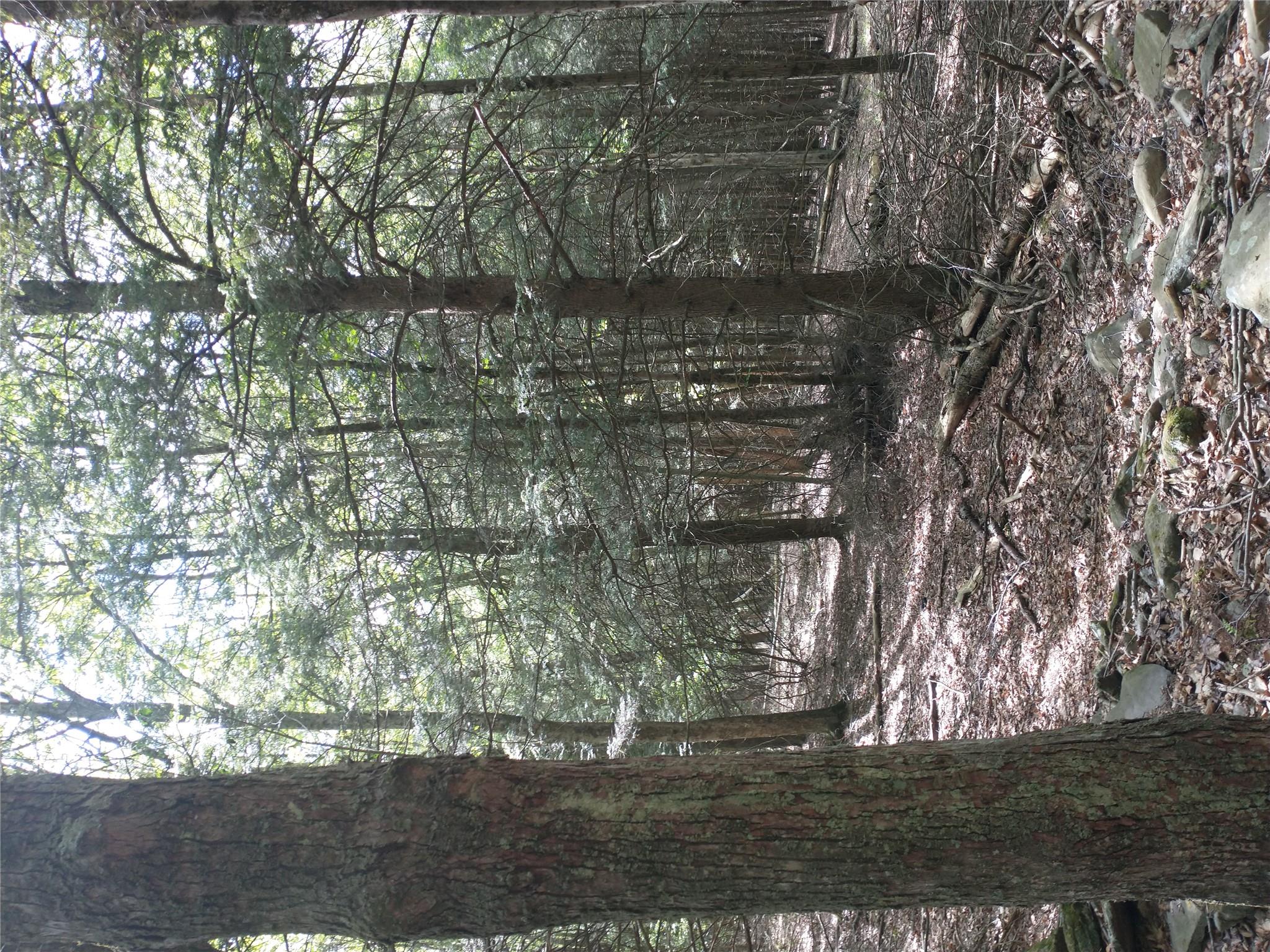 650 Thunder Hill Road, Neversink, NY 12788