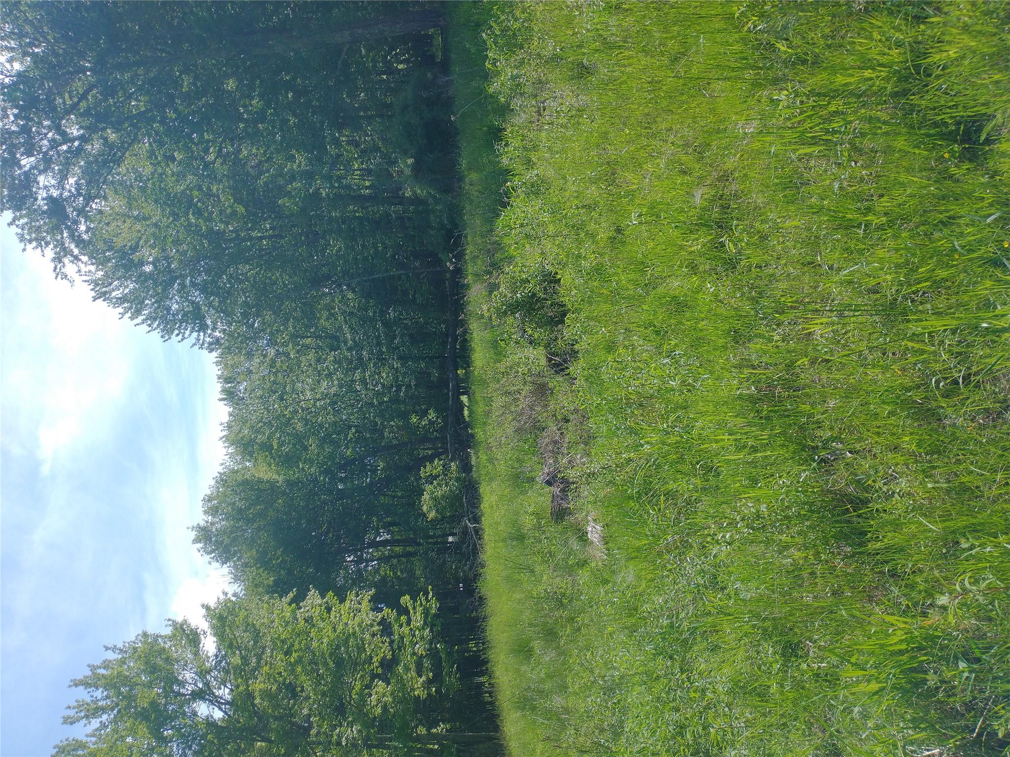 650 Thunder Hill Road, Neversink, NY 12788