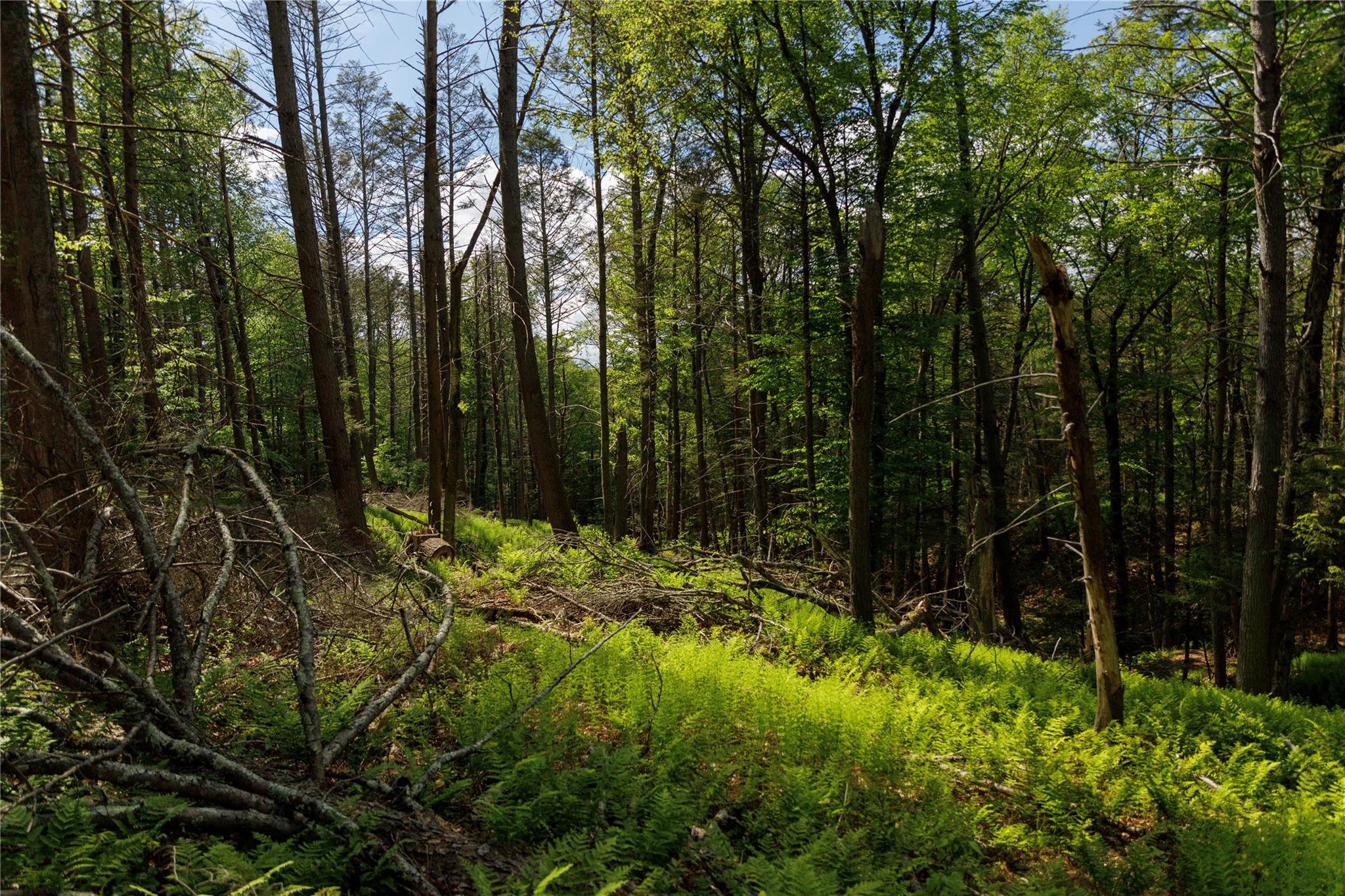 650 Thunder Hill Road, Neversink, NY 12788