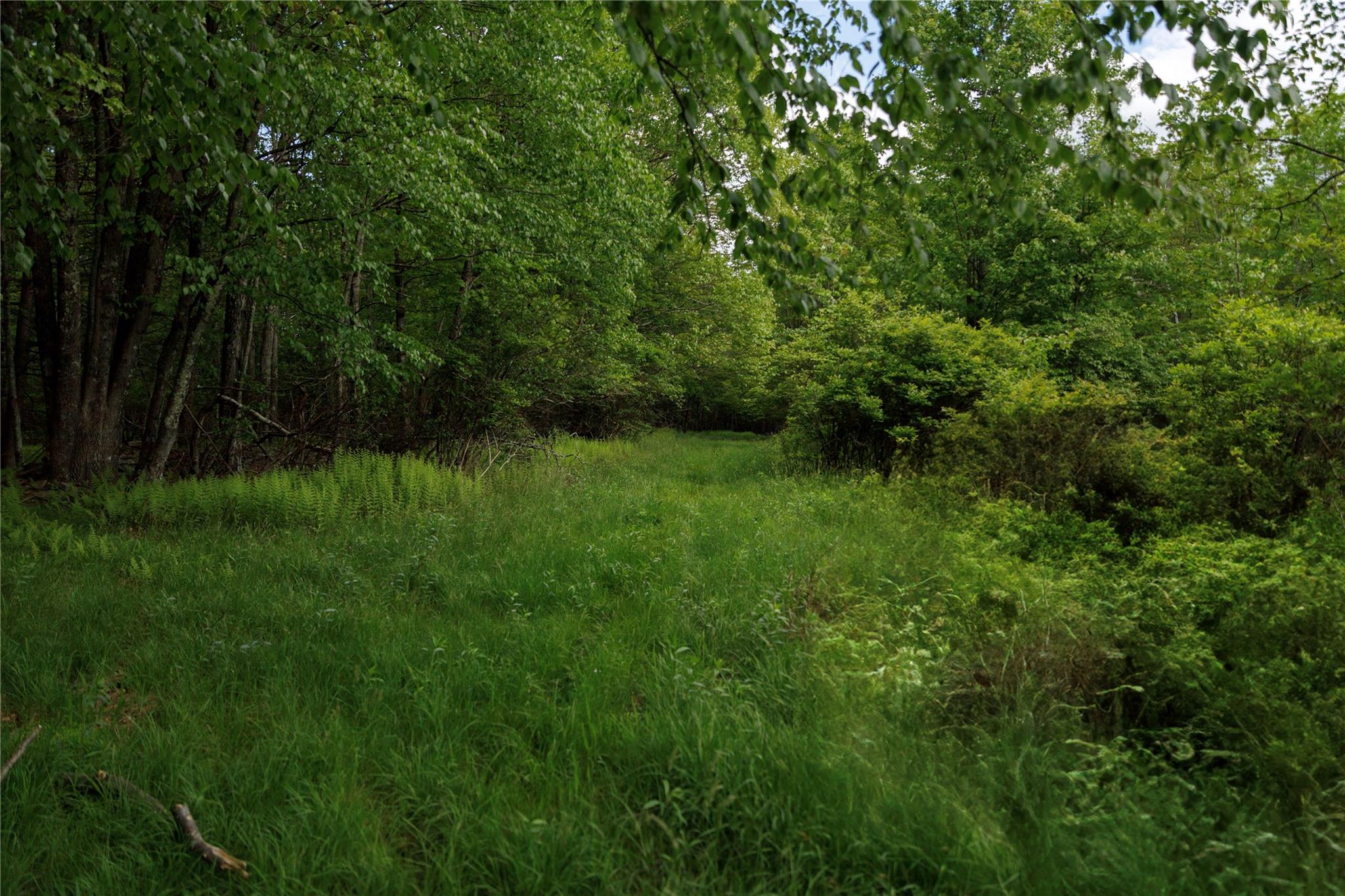 650 Thunder Hill Road, Neversink, NY 12788