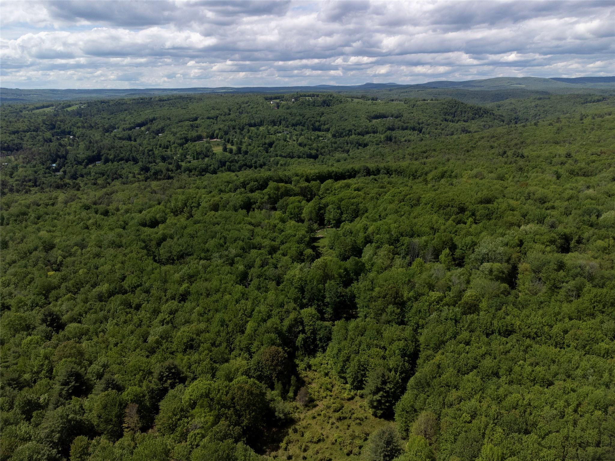 650 Thunder Hill Road, Neversink, NY 12788