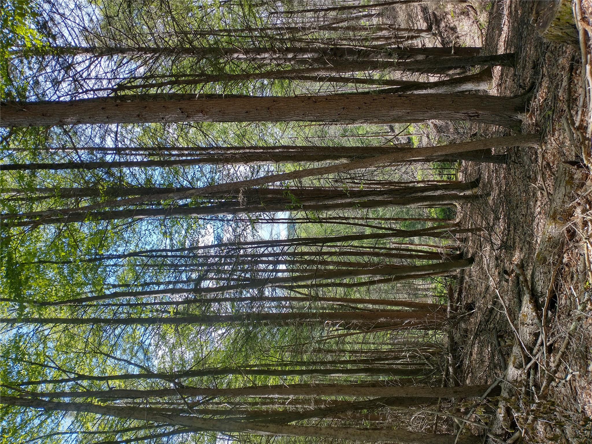 650 Thunder Hill Road, Neversink, NY 12788