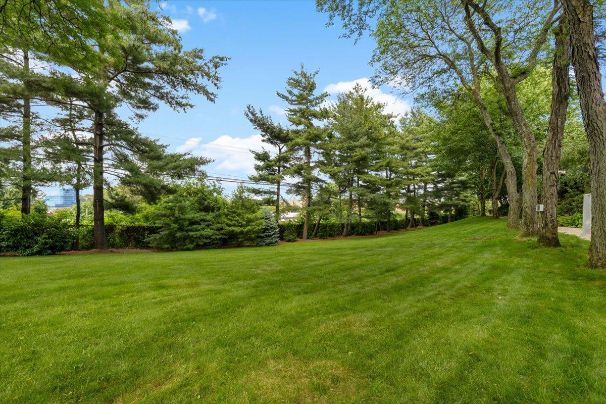 7429 Calamus Avenue # 20, Flushing, NY 11373