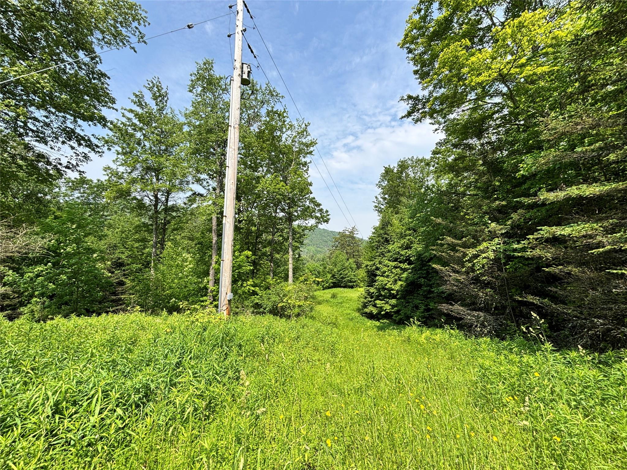 16 Indian Summer Road, Deposit, NY 13754