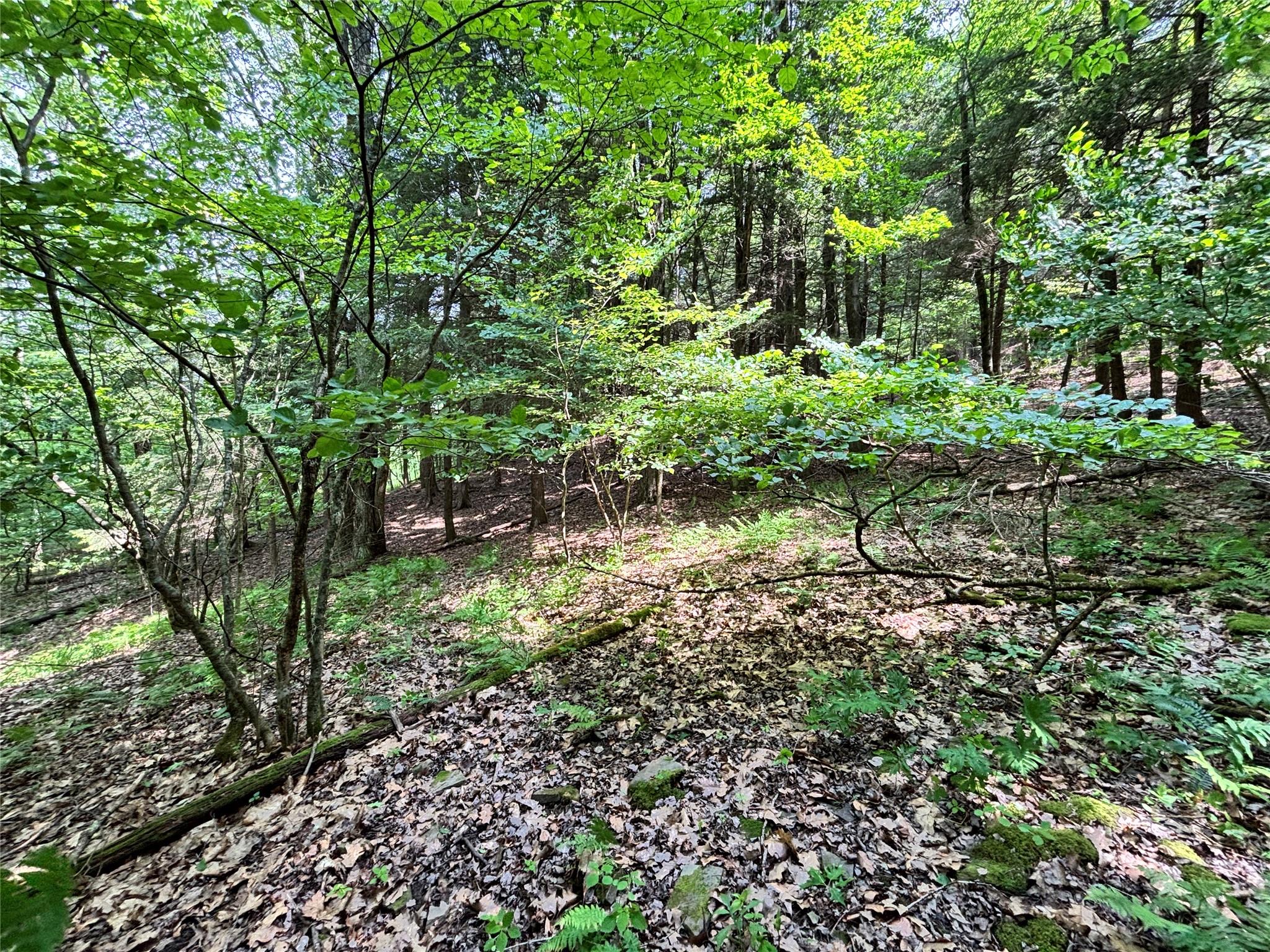 16 Indian Summer Road, Deposit, NY 13754