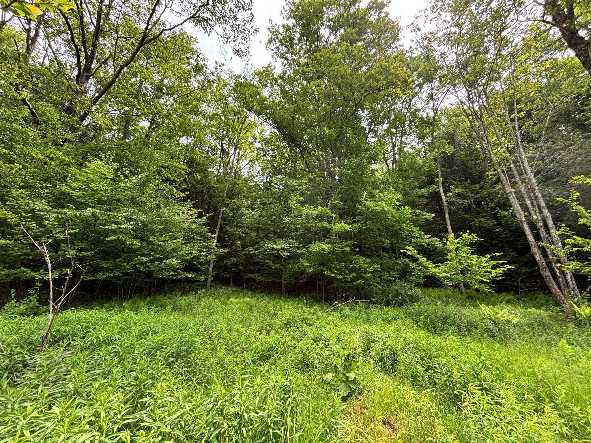 16 Indian Summer Road, Deposit, NY 13754