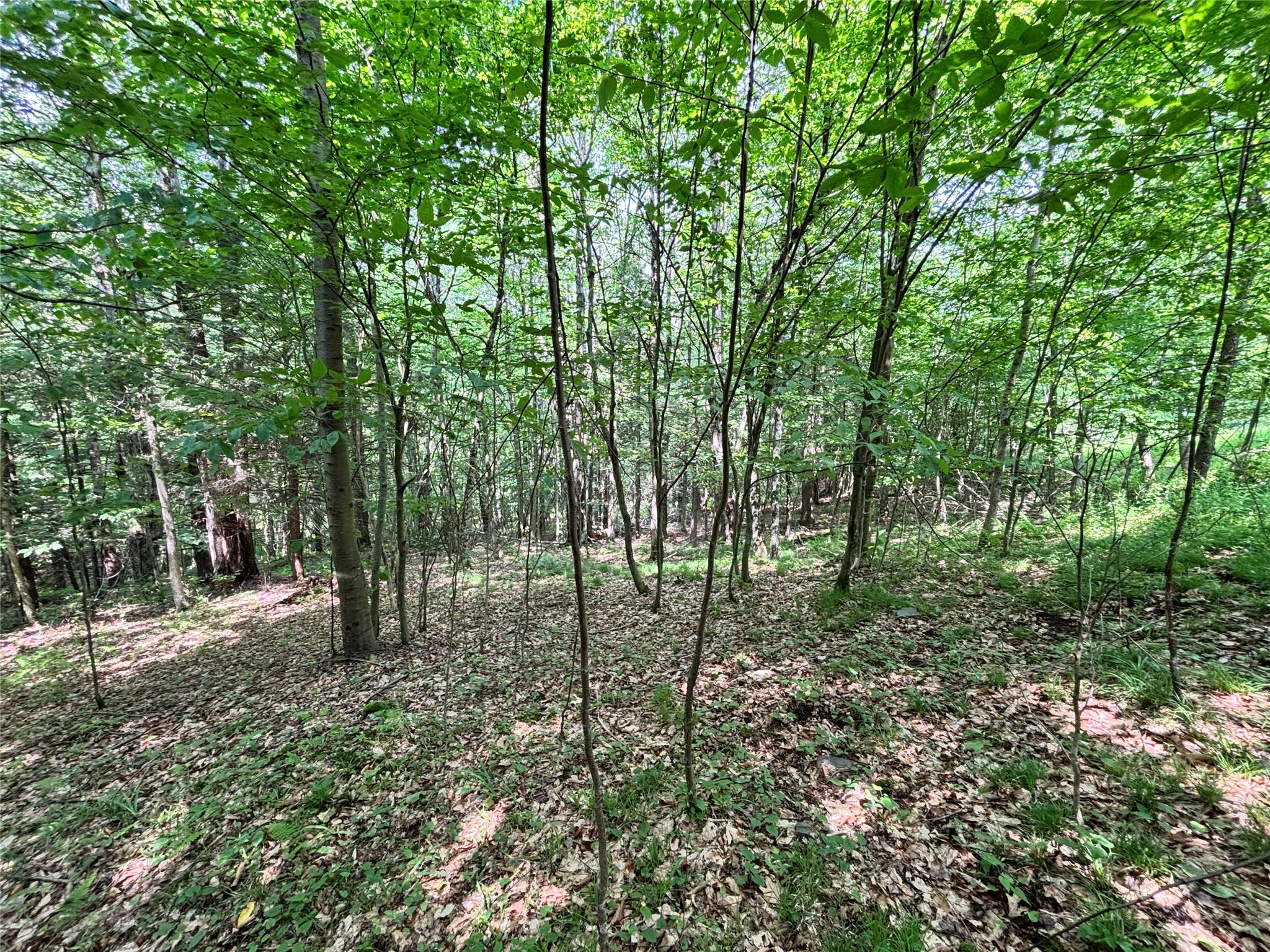 16 Indian Summer Road, Deposit, NY 13754