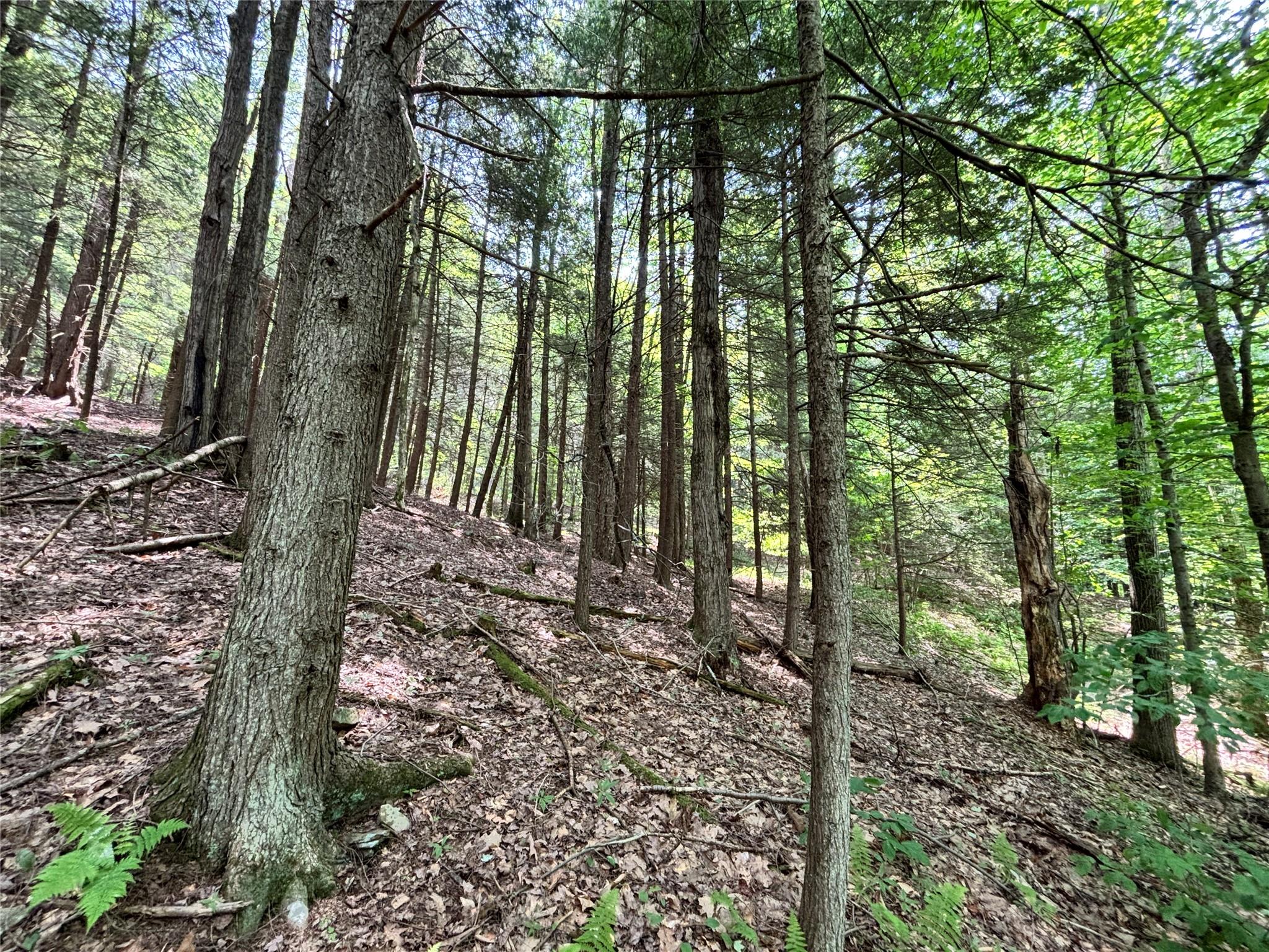 16 Indian Summer Road, Deposit, NY 13754