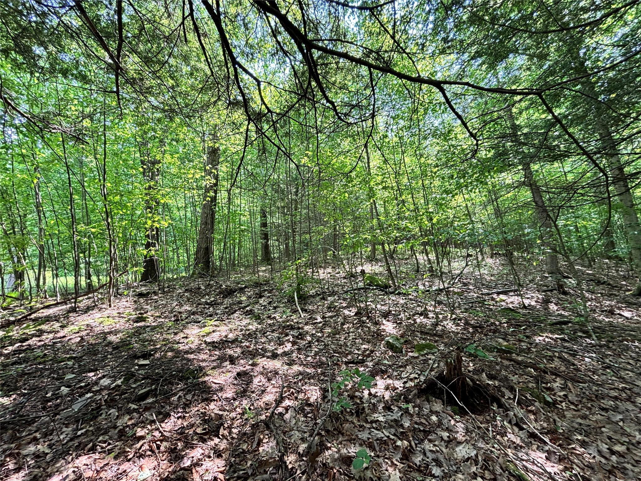 16 Indian Summer Road, Deposit, NY 13754