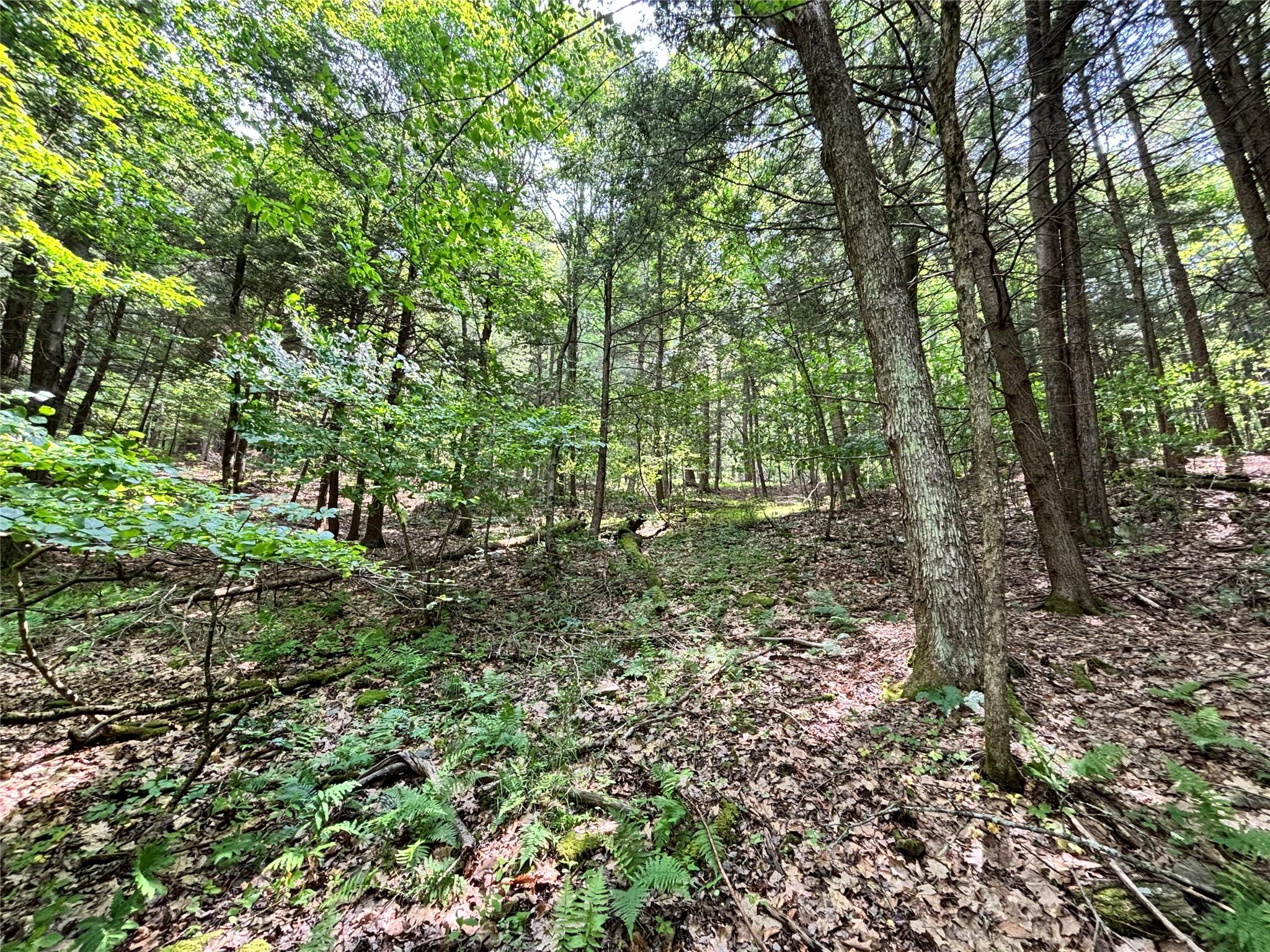 16 Indian Summer Road, Deposit, NY 13754