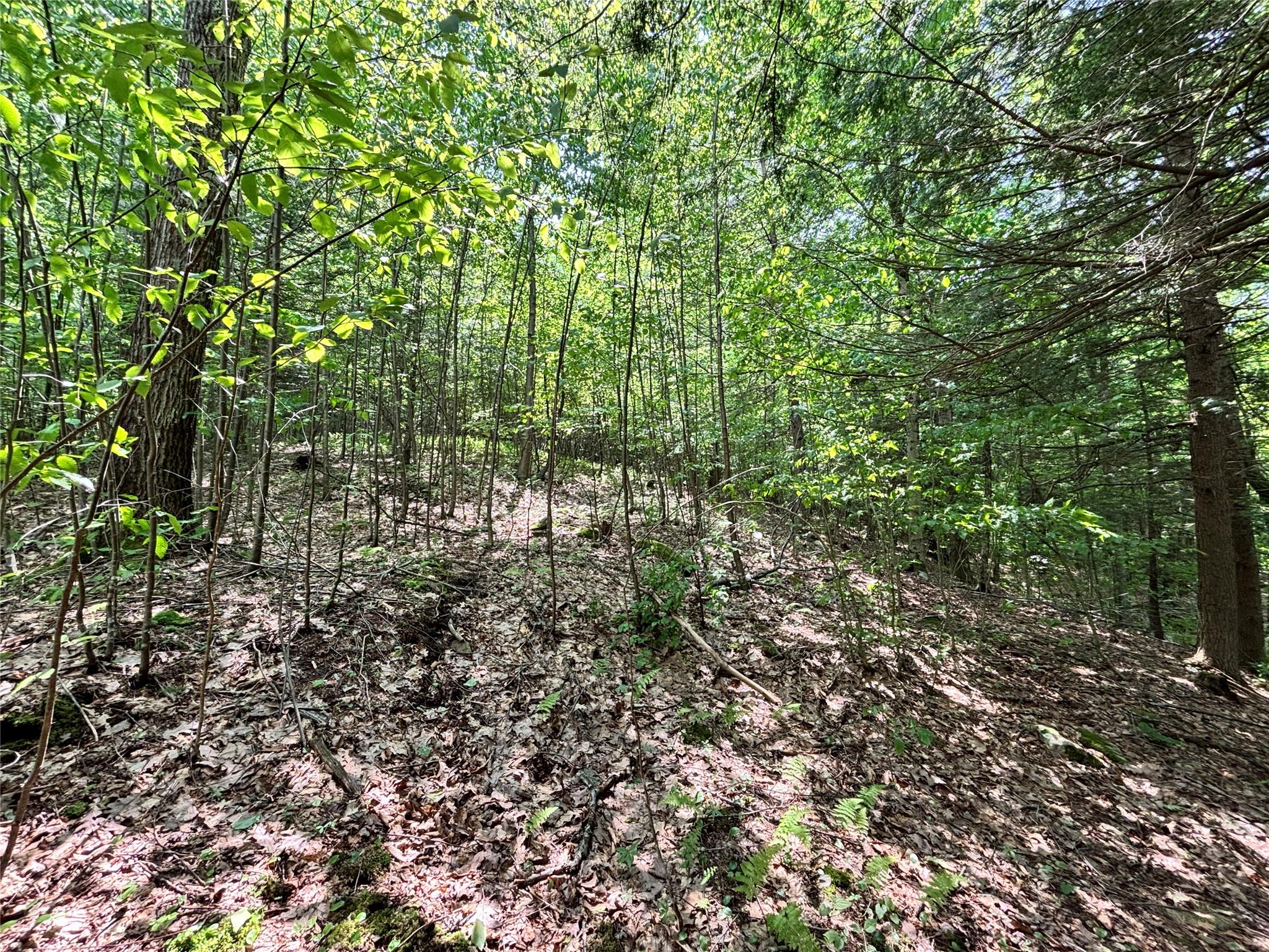 16 Indian Summer Road, Deposit, NY 13754