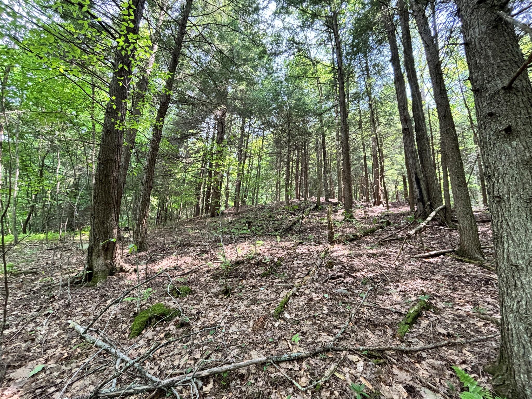 16 Indian Summer Road, Deposit, NY 13754