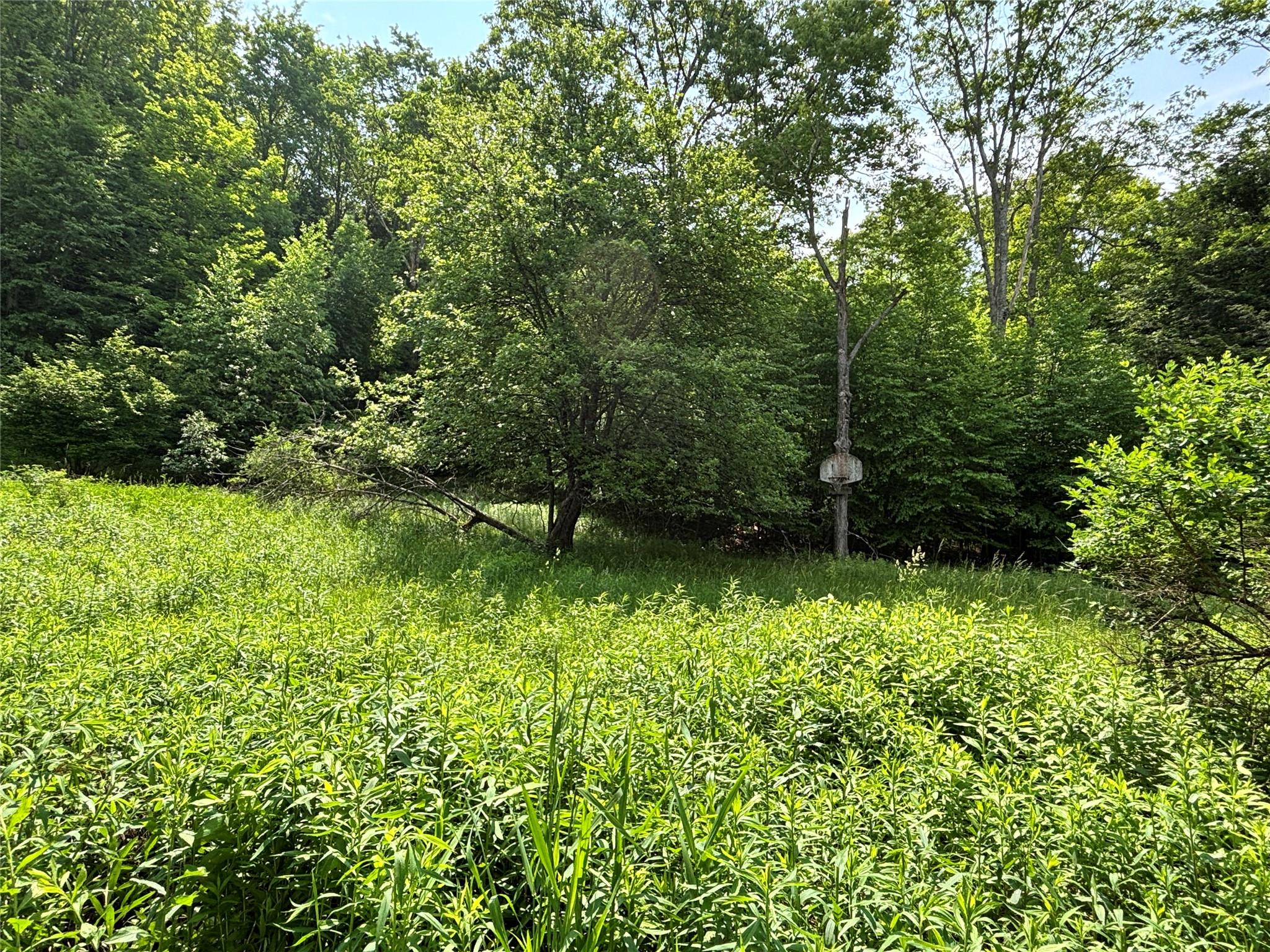 16 Indian Summer Road, Deposit, NY 13754