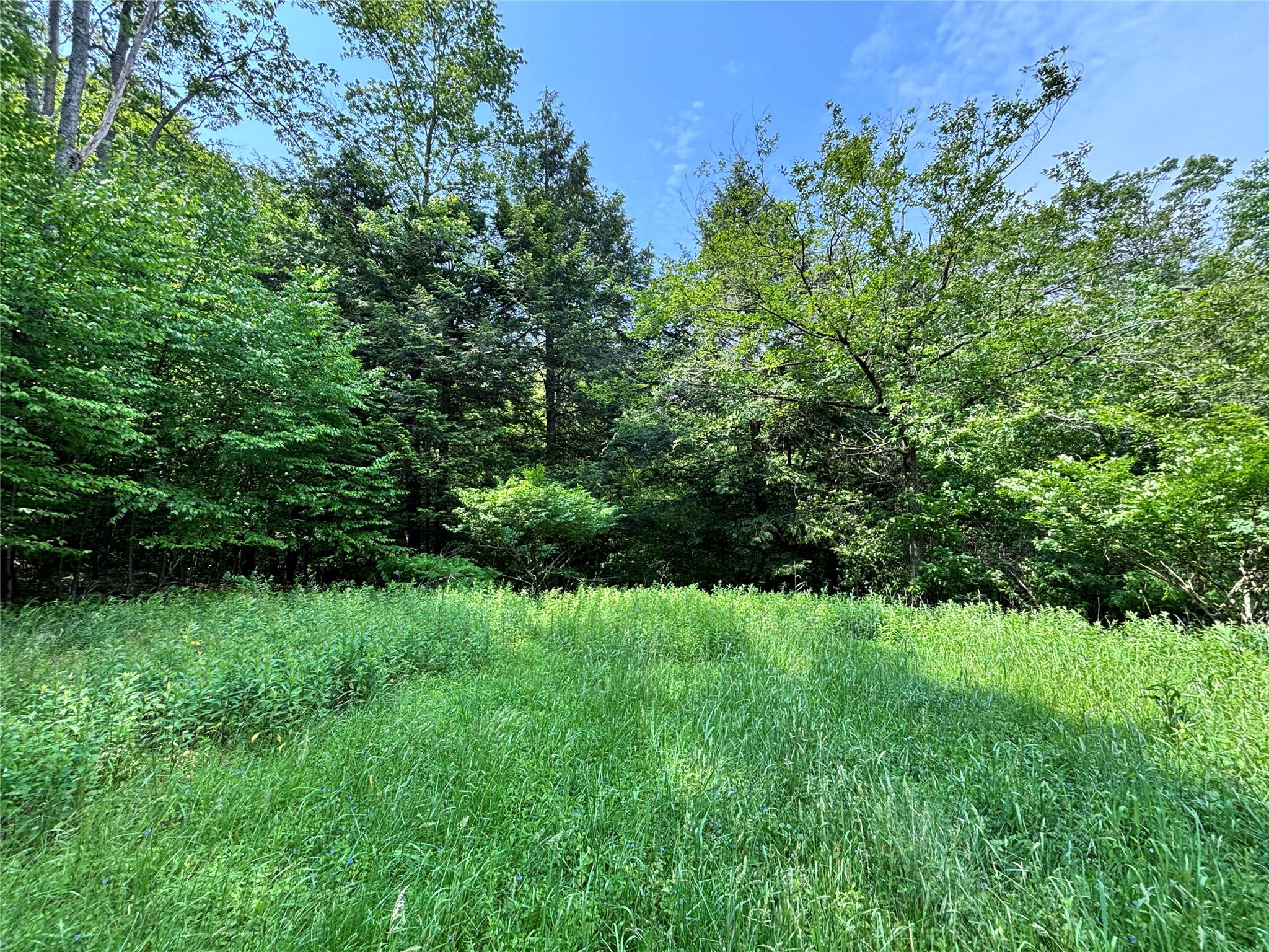 16 Indian Summer Road, Deposit, NY 13754