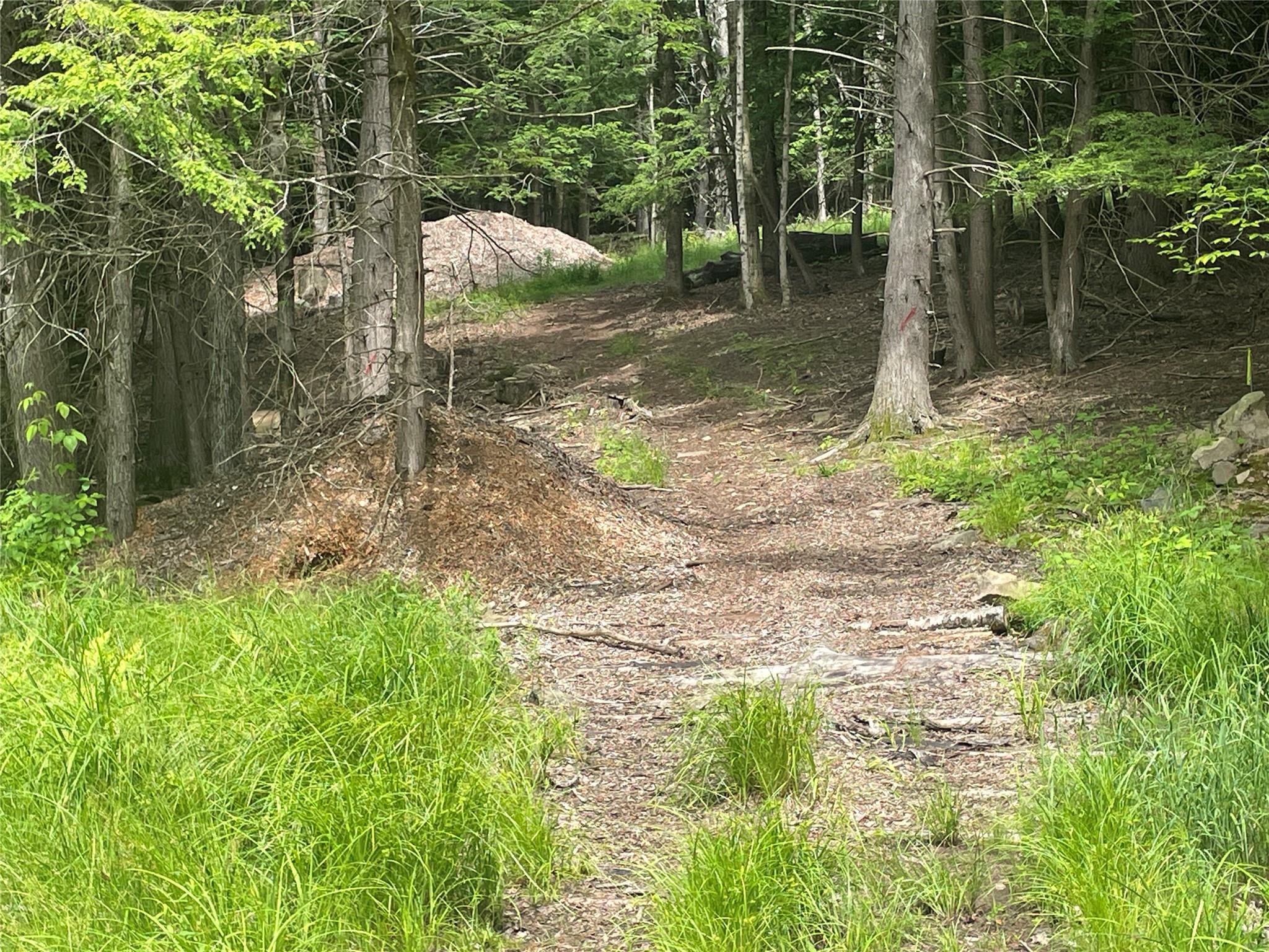TBD Boulder Brook lot B12 Road, Windham, NY 12496