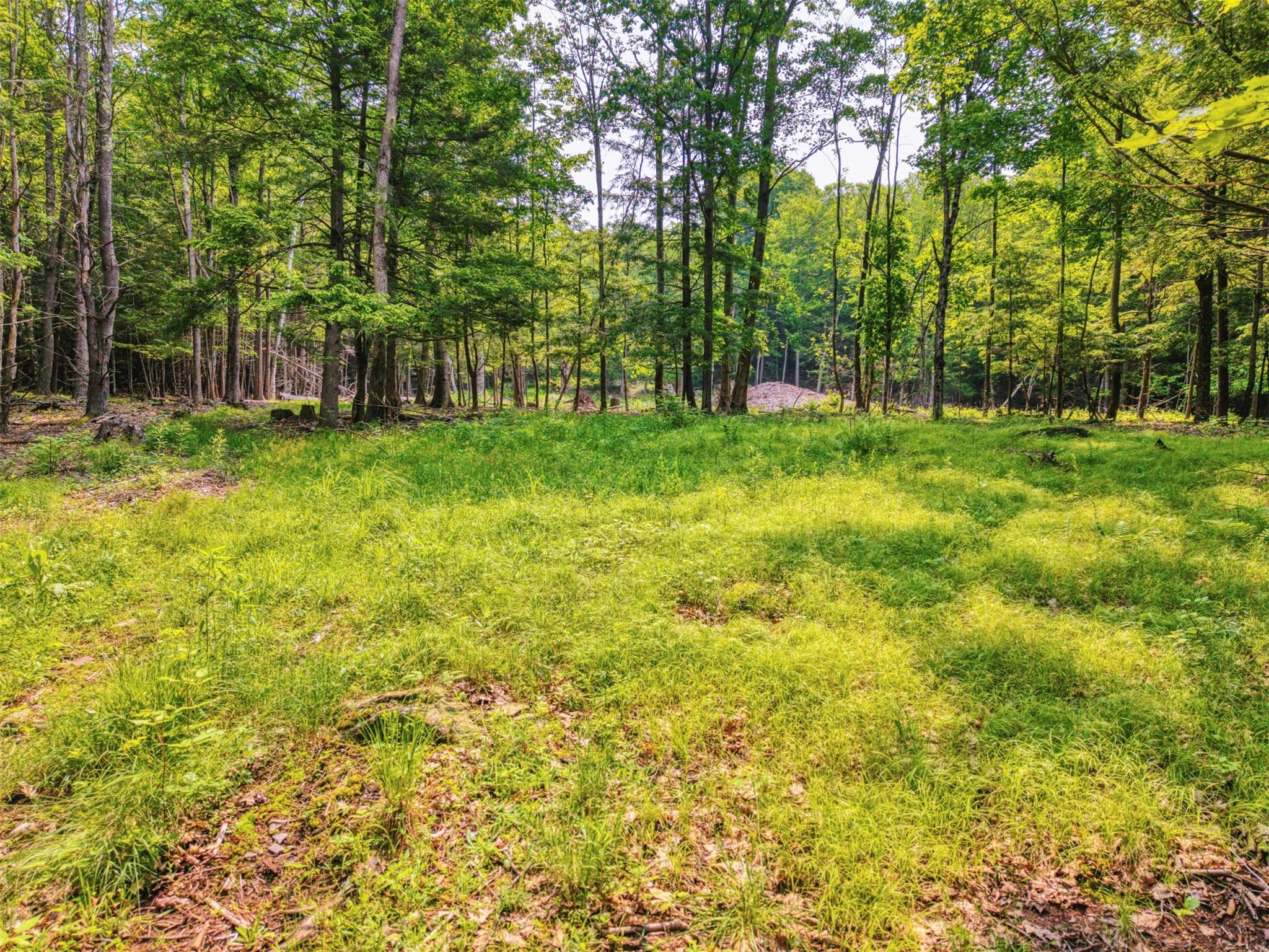 TBD Boulder Brook lot B12 Road, Windham, NY 12496