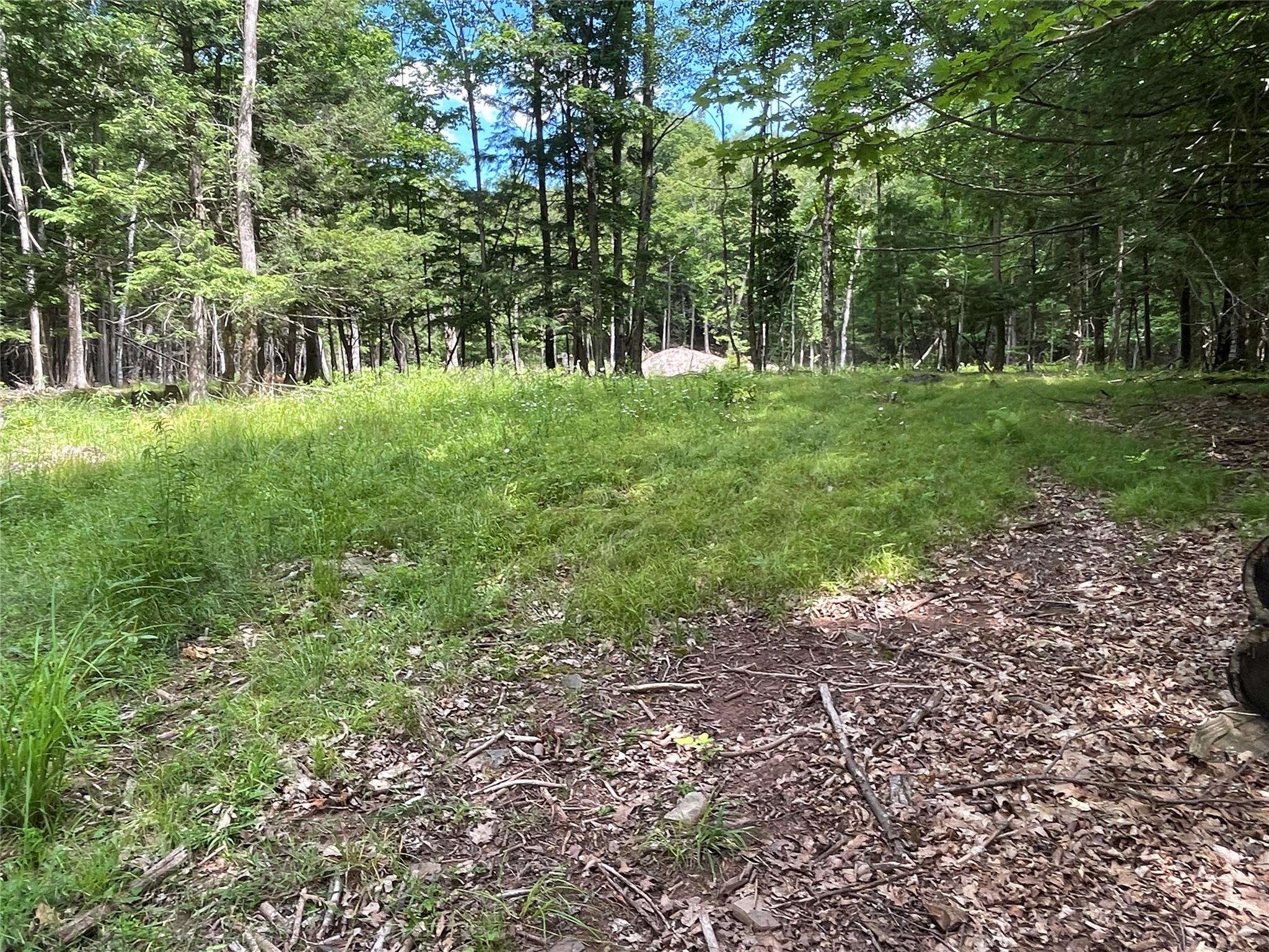 TBD Boulder Brook lot B12 Road, Windham, NY 12496