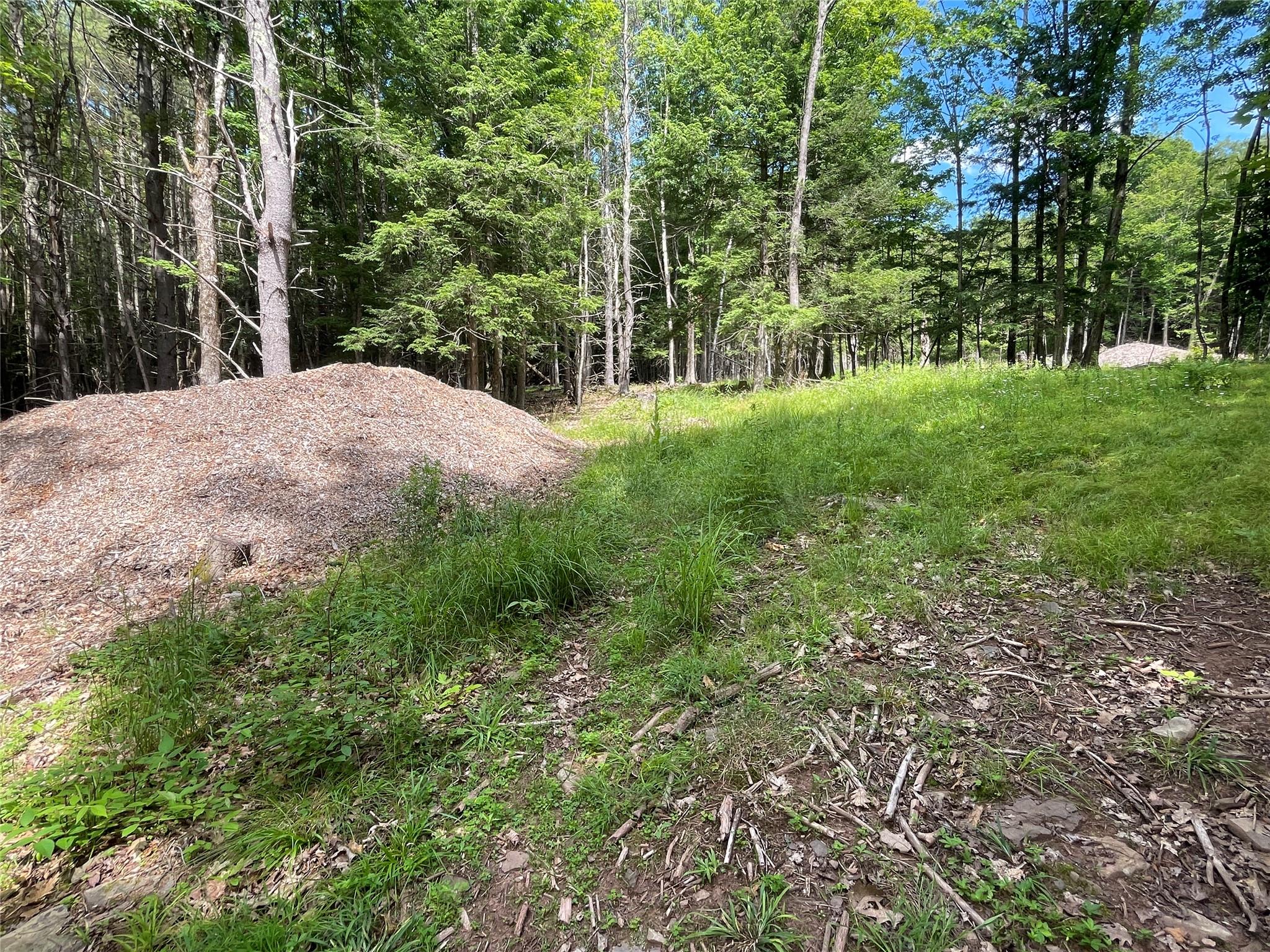 TBD Boulder Brook lot B12 Road, Windham, NY 12496