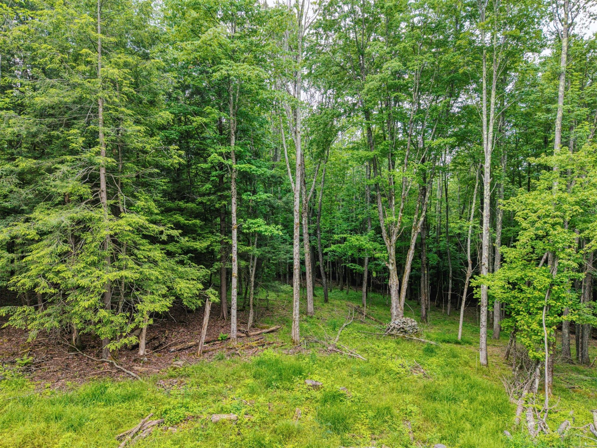 TBD Boulder Brook lot B12 Road, Windham, NY 12496