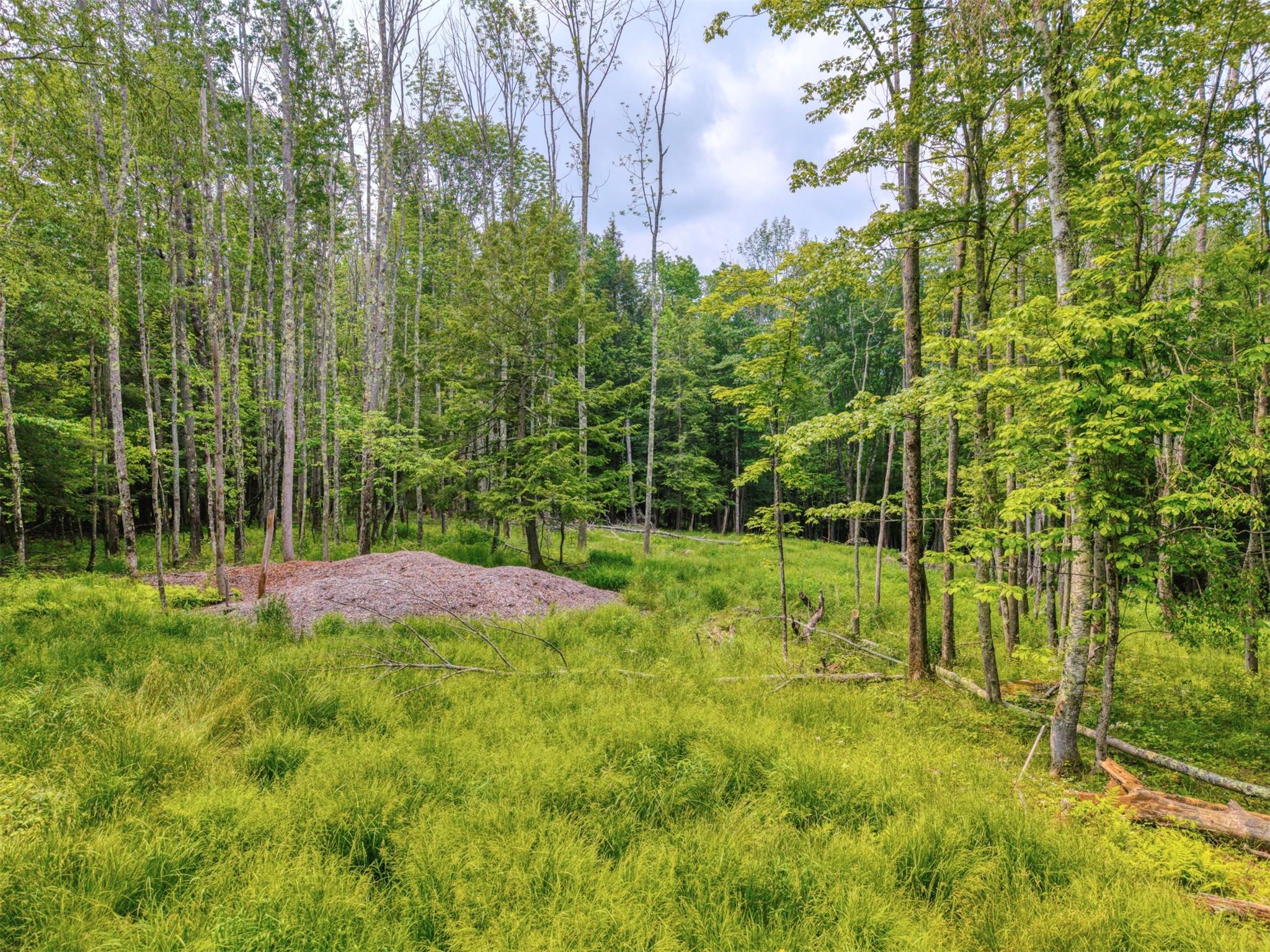 TBD Boulder Brook lot B12 Road, Windham, NY 12496