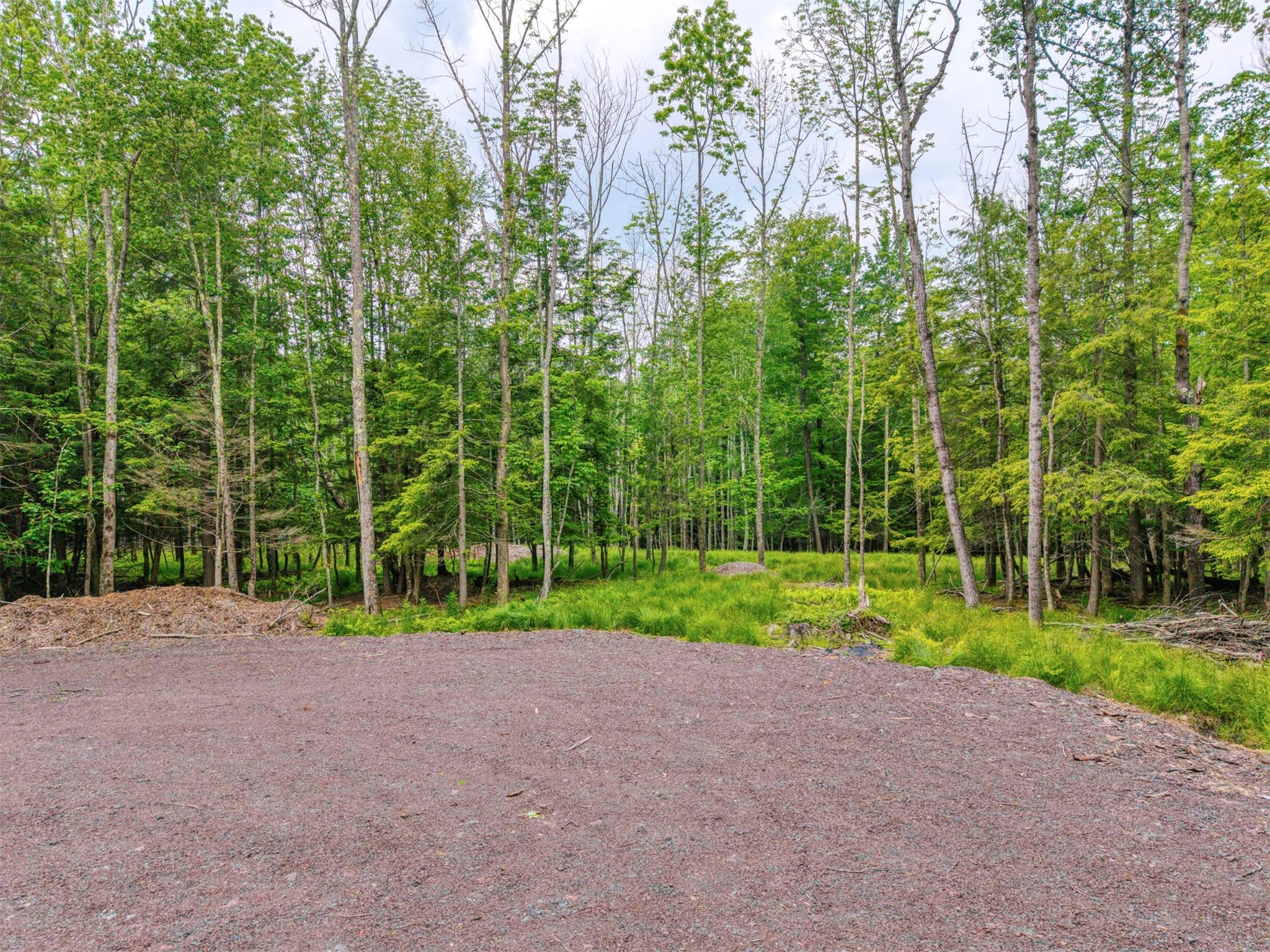 TBD Boulder Brook lot B12 Road, Windham, NY 12496