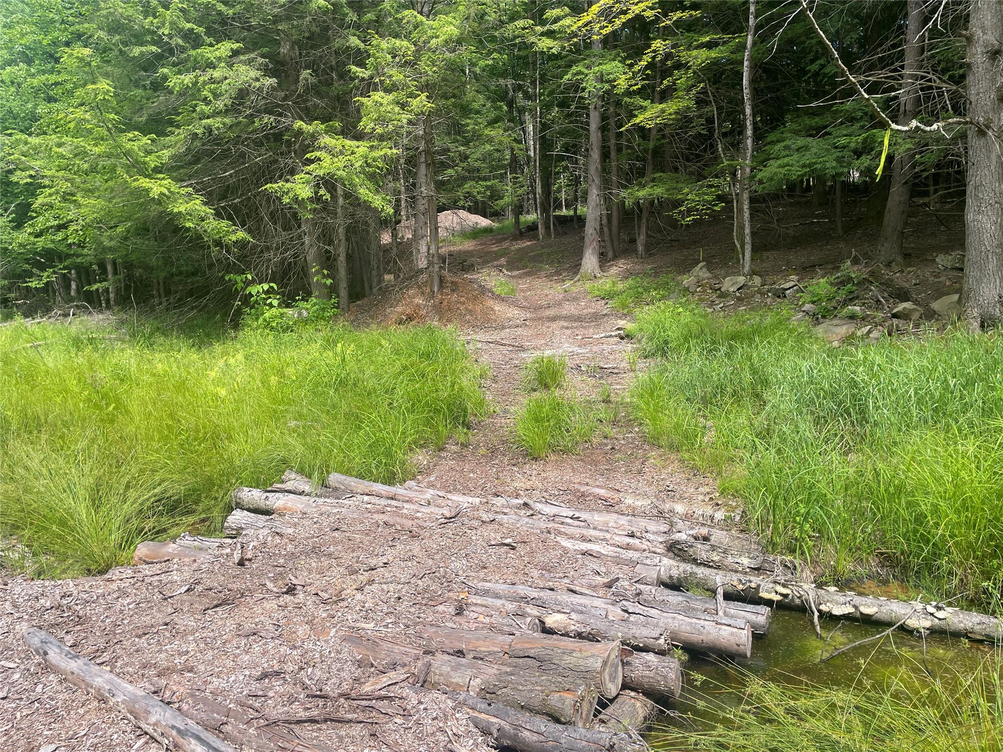 TBD Boulder Brook lot B12 Road, Windham, NY 12496