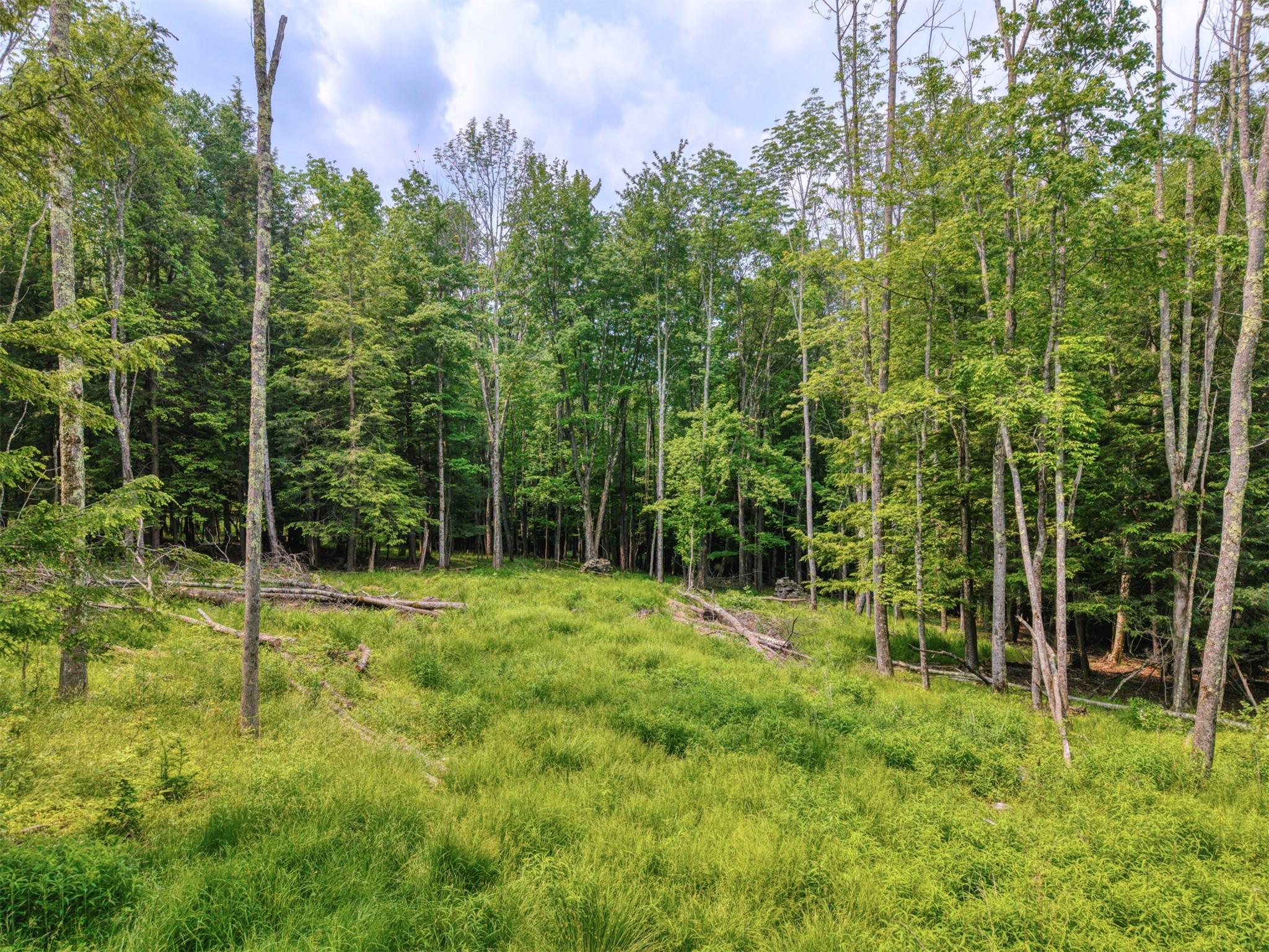TBD Boulder Brook lot B12 Road, Windham, NY 12496