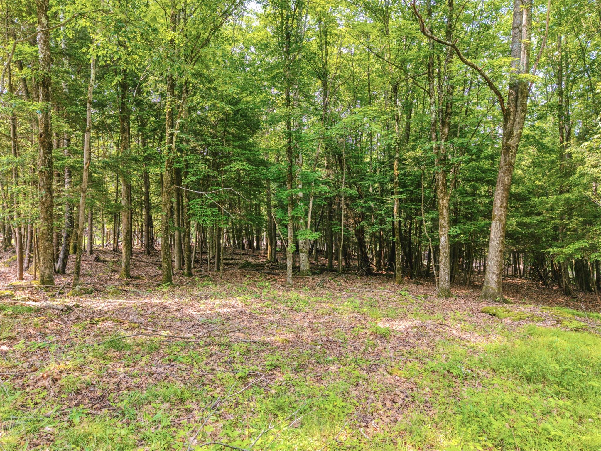 TBD Boulder Brook lot B12 Road, Windham, NY 12496