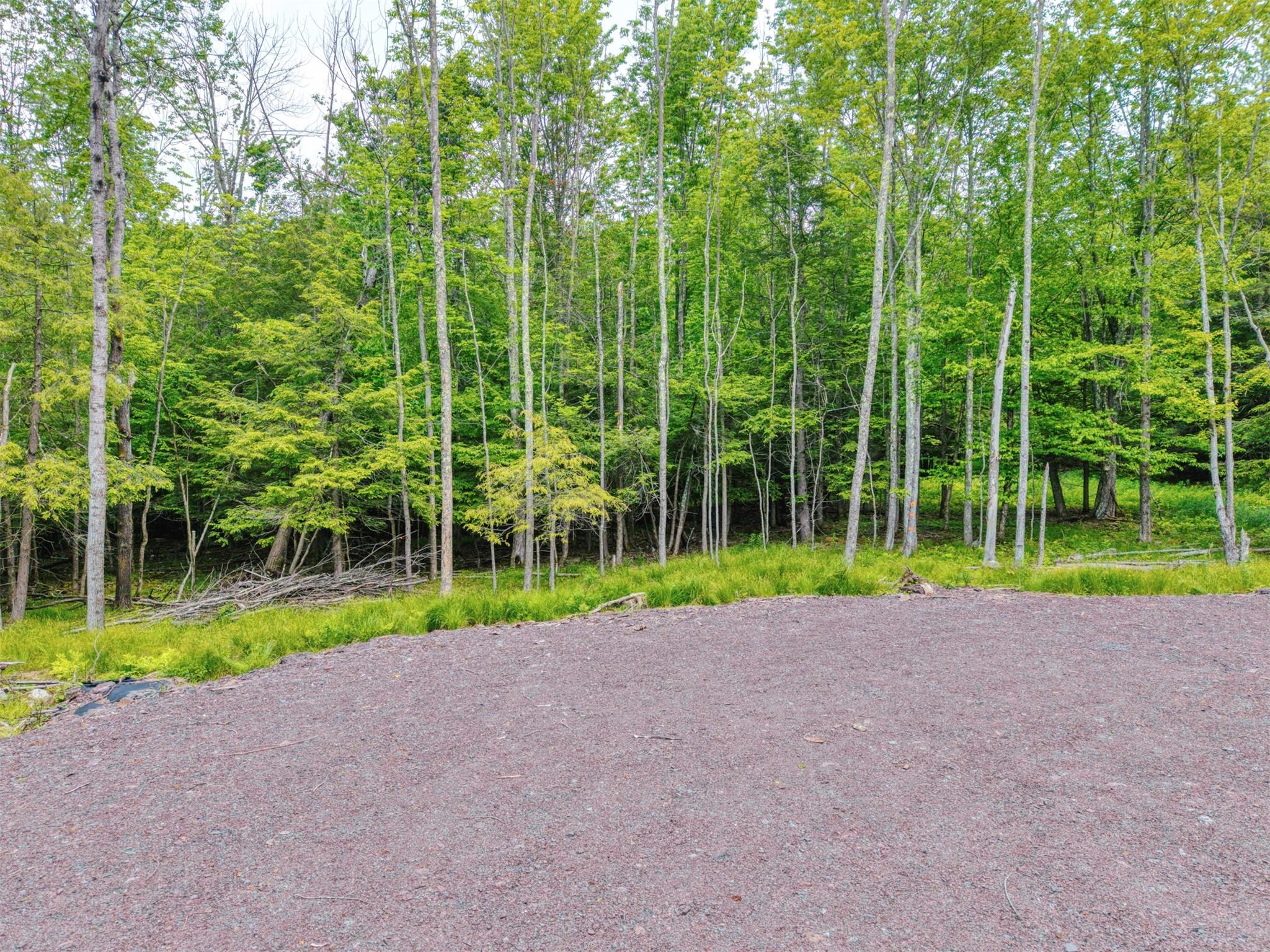TBD Boulder Brook lot B10 Road, Windham, NY 12496
