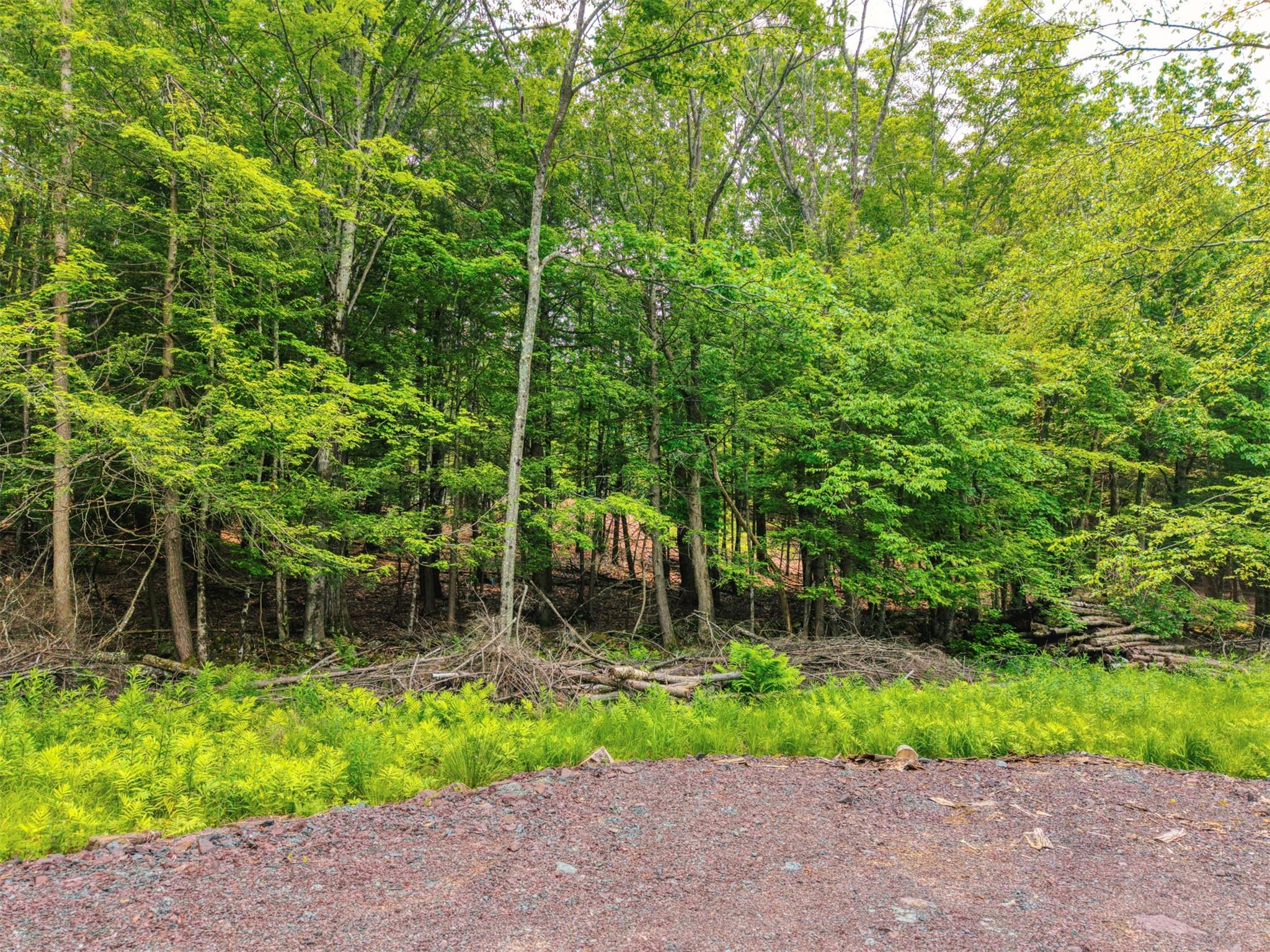 TBD Boulder Brook lot B10 Road, Windham, NY 12496