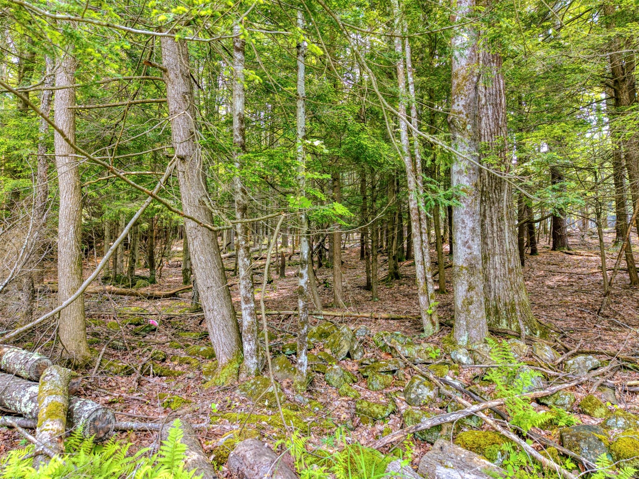 TBD Boulder Brook lot B10 Road, Windham, NY 12496
