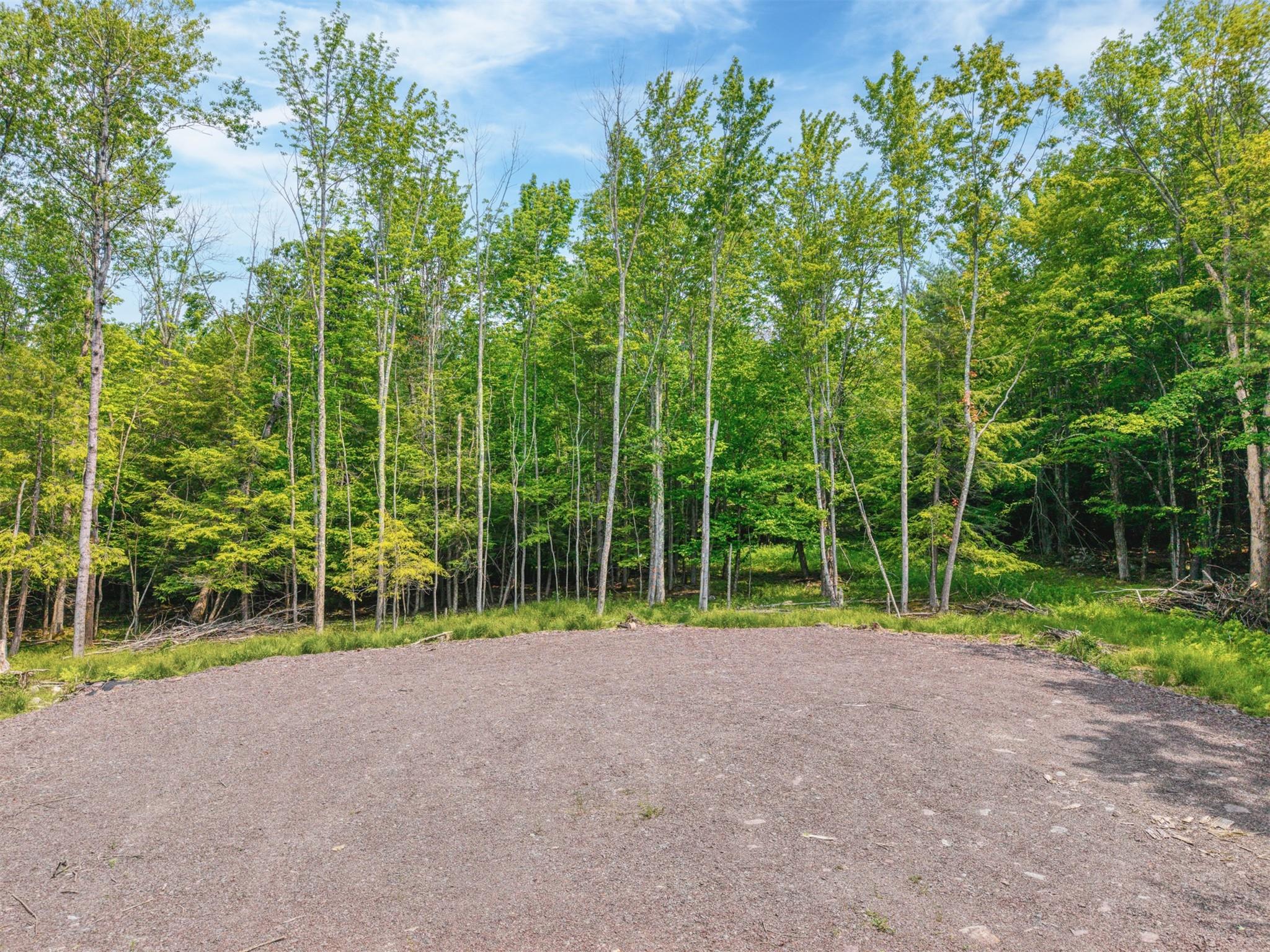 TBD Boulder Brook lot B10 Road, Windham, NY 12496