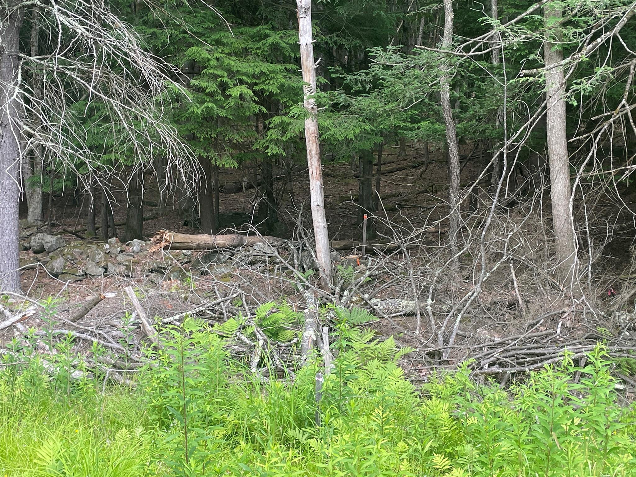 TBD Boulder Brook lot B10 Road, Windham, NY 12496