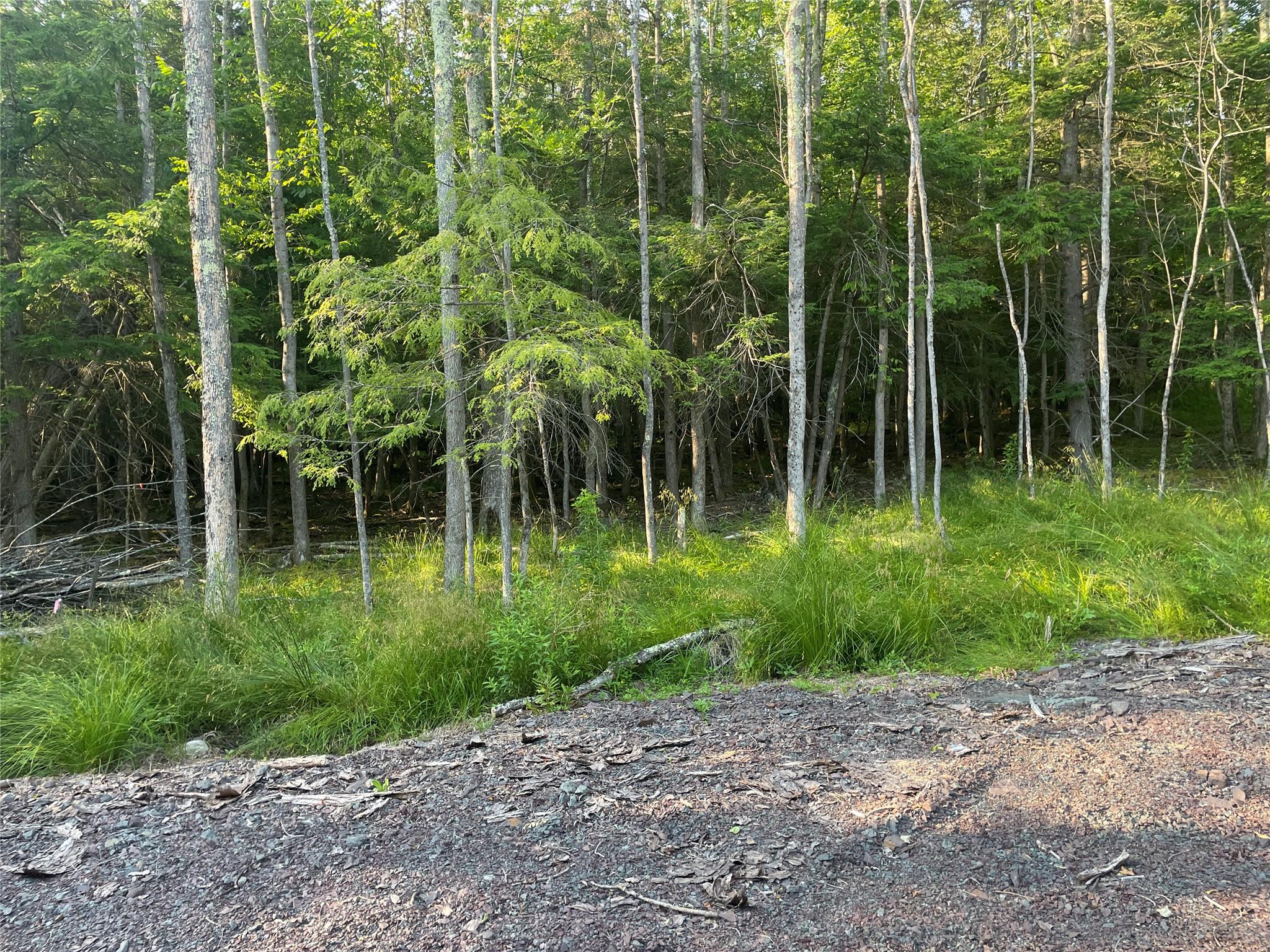 TBD Boulder Brook lot B10 Road, Windham, NY 12496