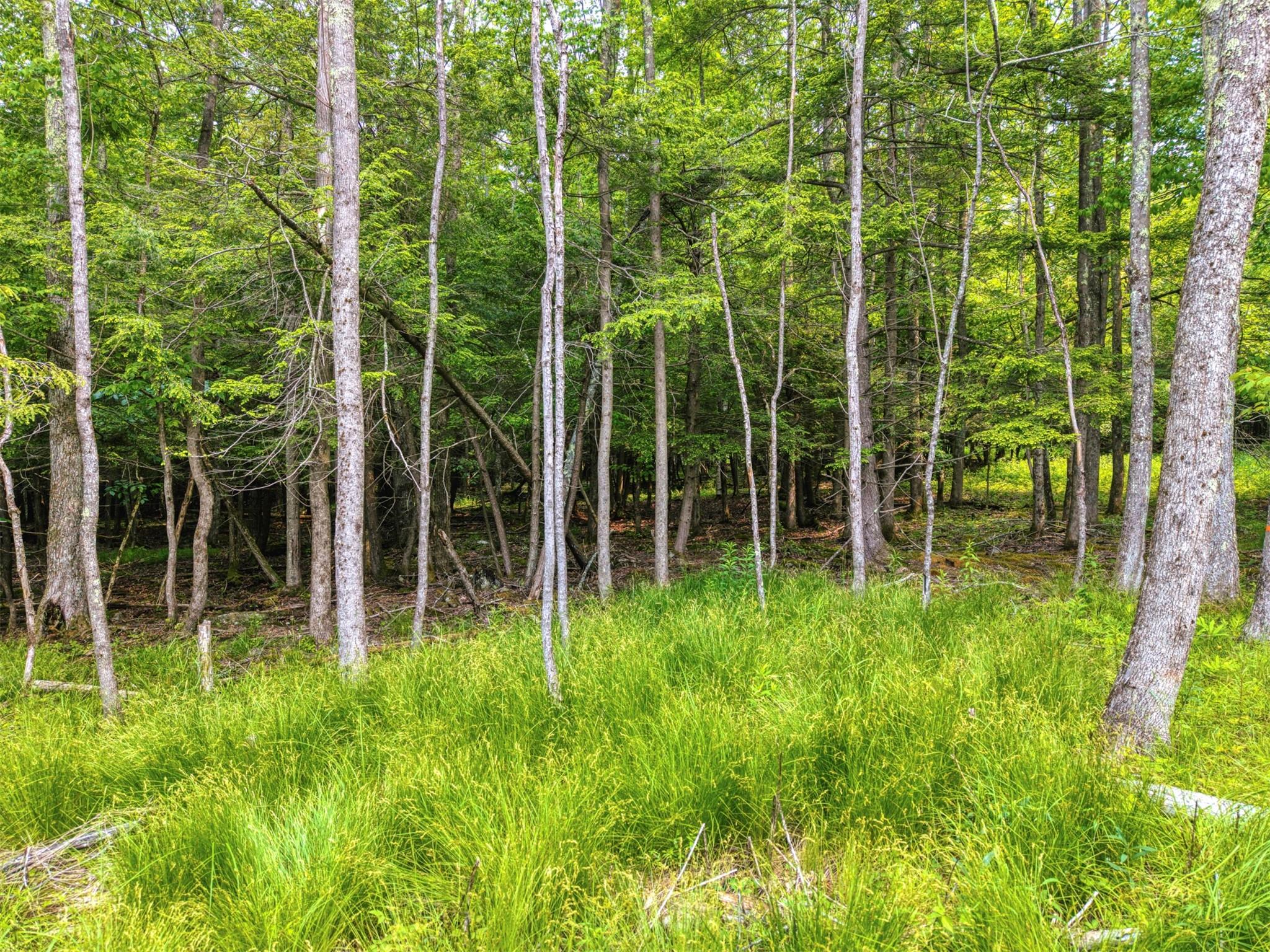 TBD Boulder Brook lot B10 Road, Windham, NY 12496